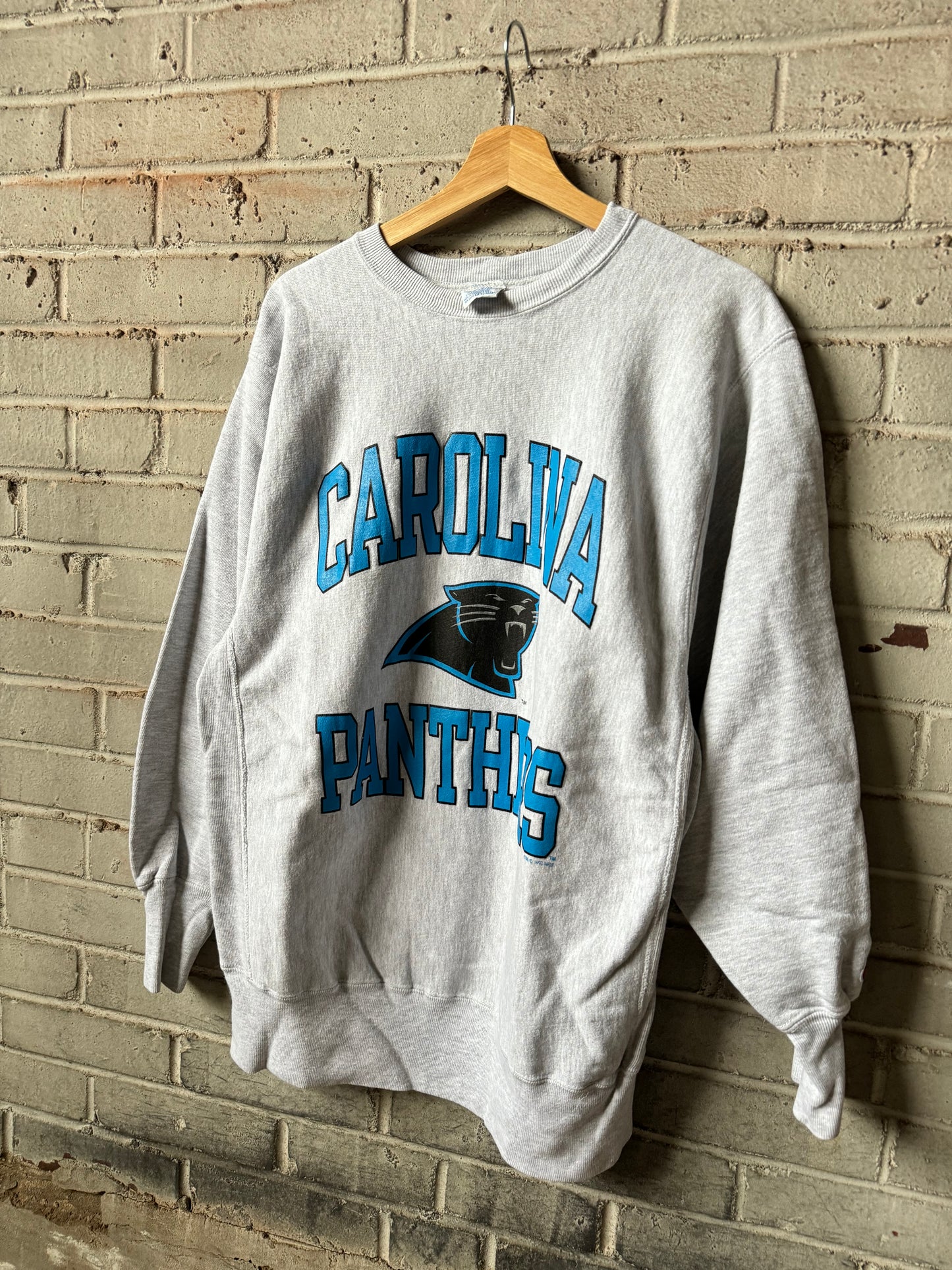 1993 Carolina Panthers Vintage Heather Grey Champion Reverse Weave Ultra Heavyweight NFL Crewneck (XL)