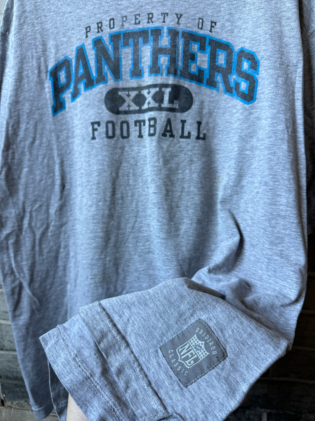 00’s Carolina Panthers Vintage Reebok NFL Gridiron Collection Tee (XXL)
