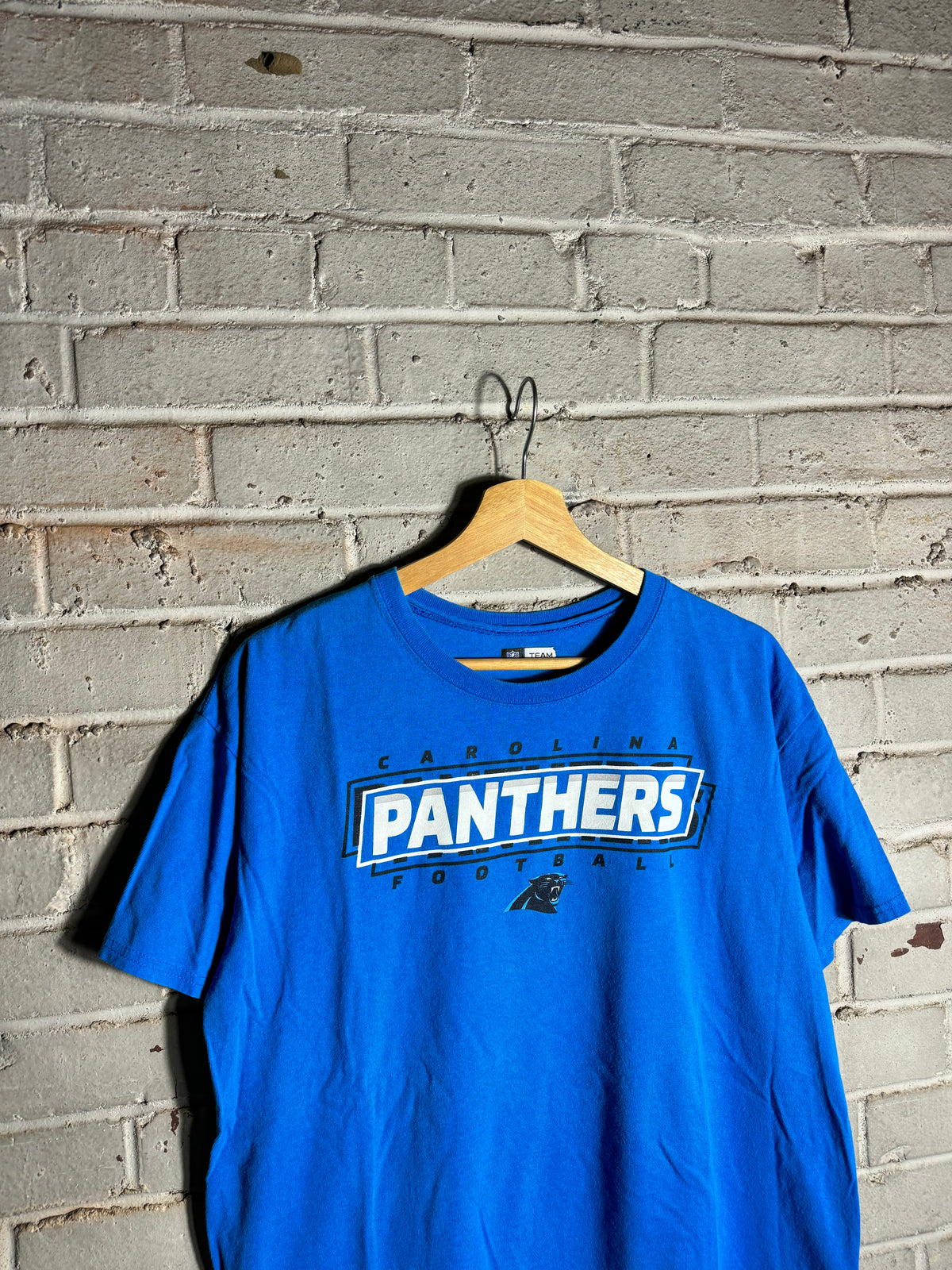 2010’s Carolina Panthers NFL Spellout Tee (Large)
