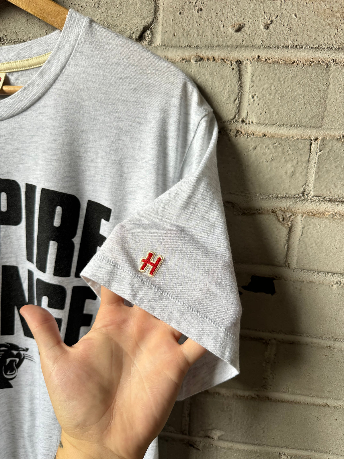Carolina Panthers x Homage Heather Grey Inspire Change NFL Sideline Tee (Large)