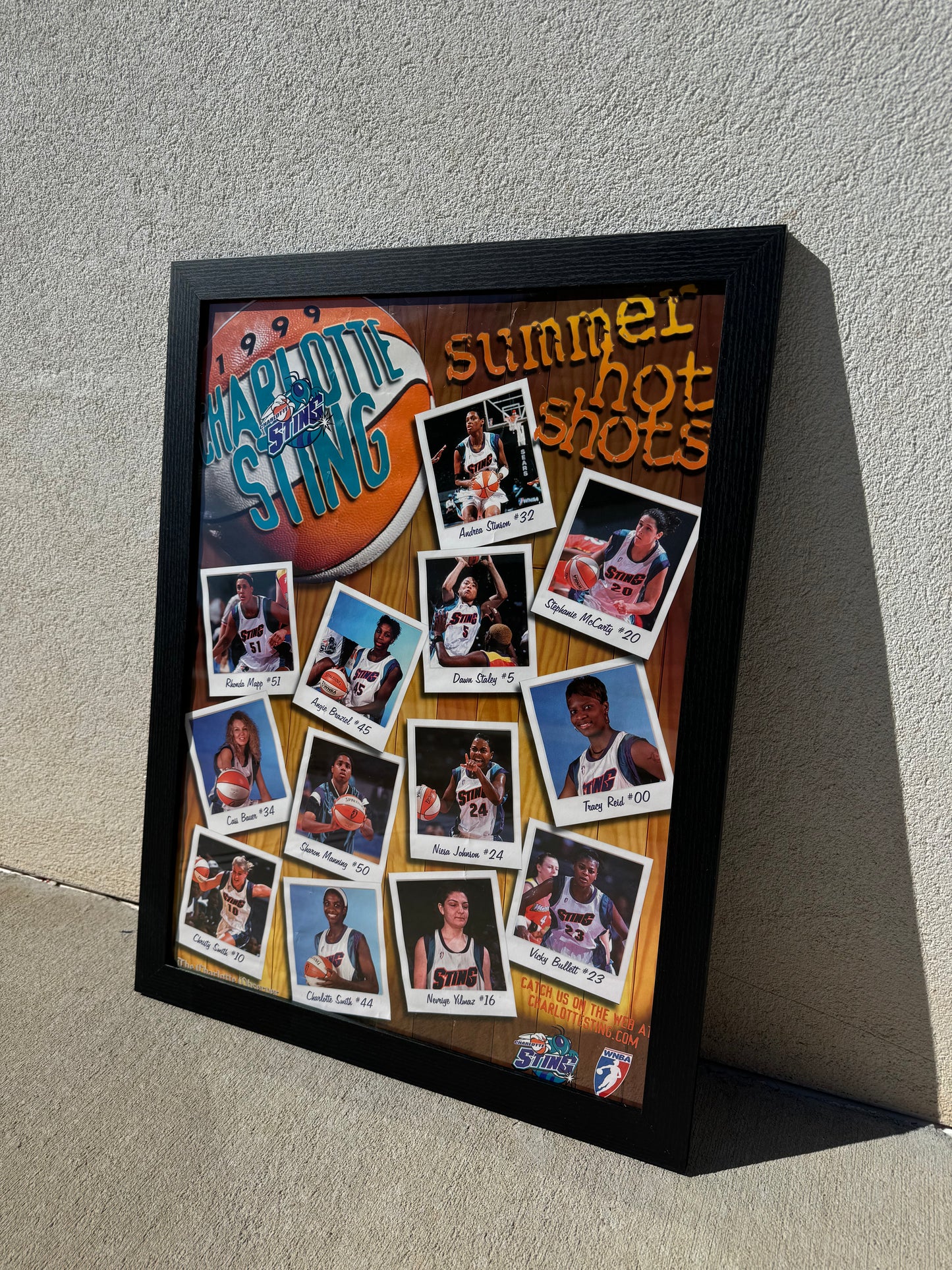 1999 Charlotte Sting “Summer Hot Shots” Vintage WNBA Basketball Roster Framed Poster (18” x 24”)