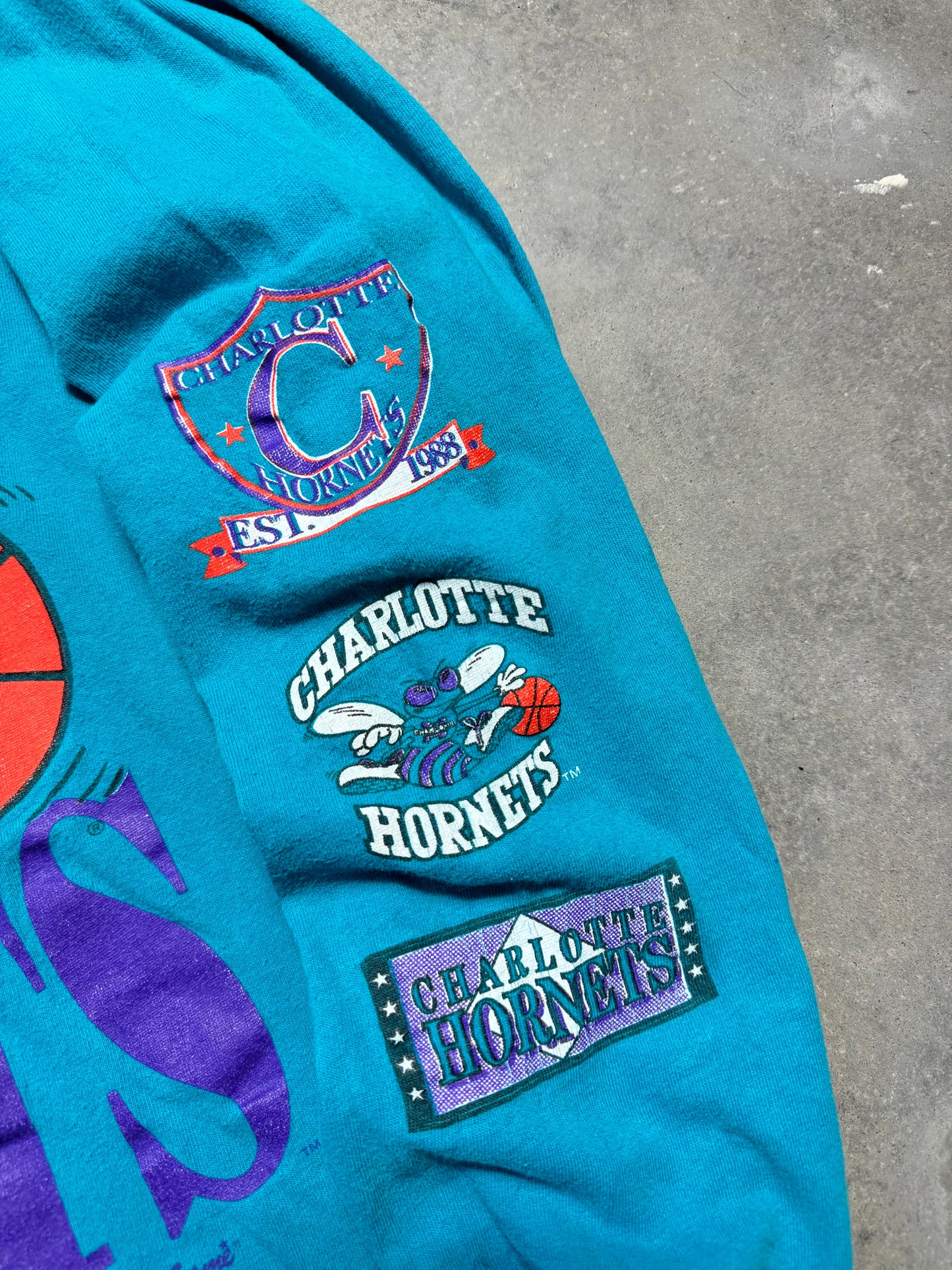 90’s Charlotte Hornets Vintage Teal The Game Big Logo Sleeve Print NBA Longsleeve Tee (XL)