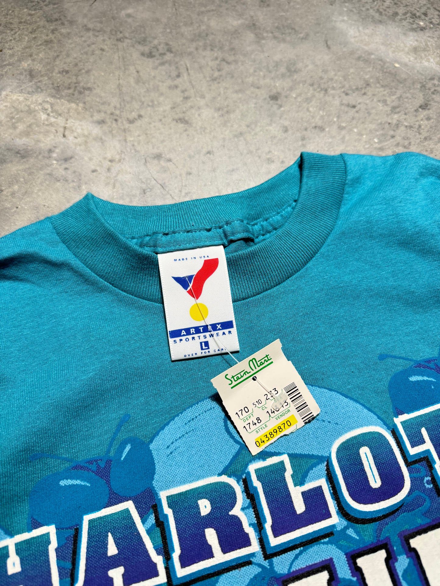 90’s Charlotte Hornets Vintage Teal Artex Sportswear NBA Graphic Tee - Deadstock (Large)
