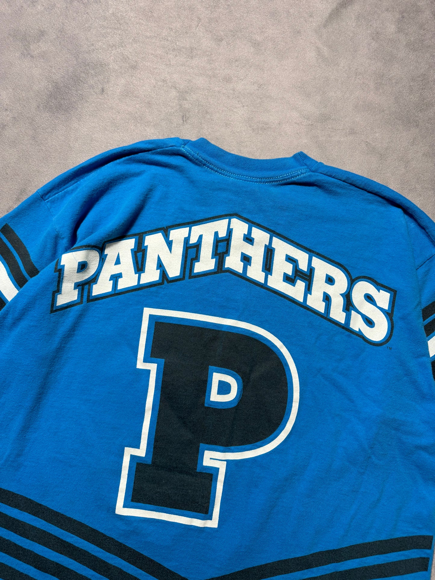 1995 Carolina Panthers Vintage Salem Sportswear Big Print Inaugural Season NFL Tee (XL)