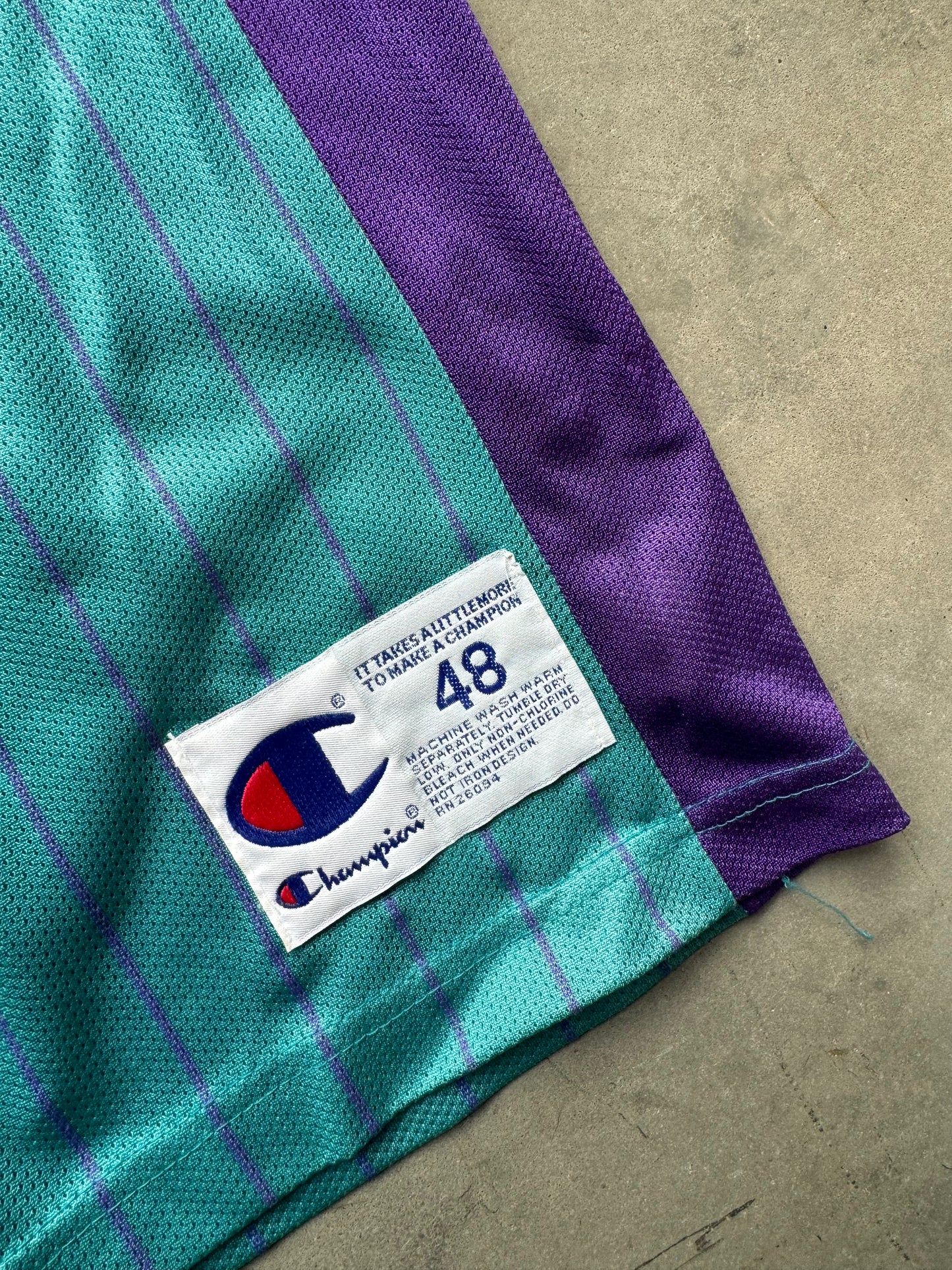 90’s Charlotte Hornets David Wesley Vintage Teal Pinstriped Champion NBA Jersey (48/XL)