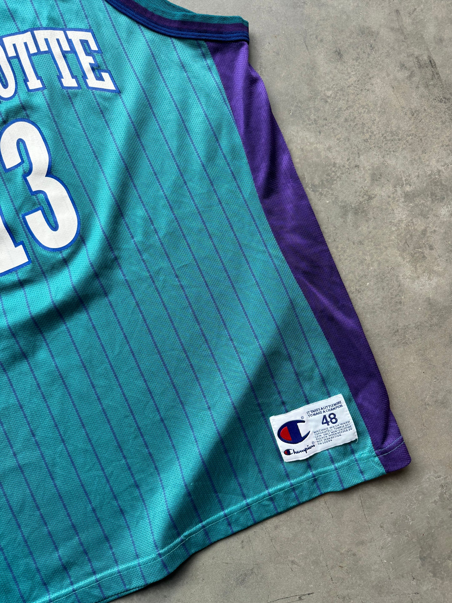 1997/1998 Charlotte Hornets Bobby Phills Vintage Teal Pinstriped Champion NBA Jersey (48/XL)