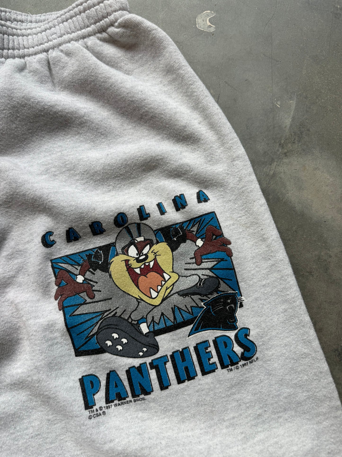 1997 Carolina Panthers x Taz x Looney Tunes Vintage Heather Grey NFL Sweatpants (Youth Large)