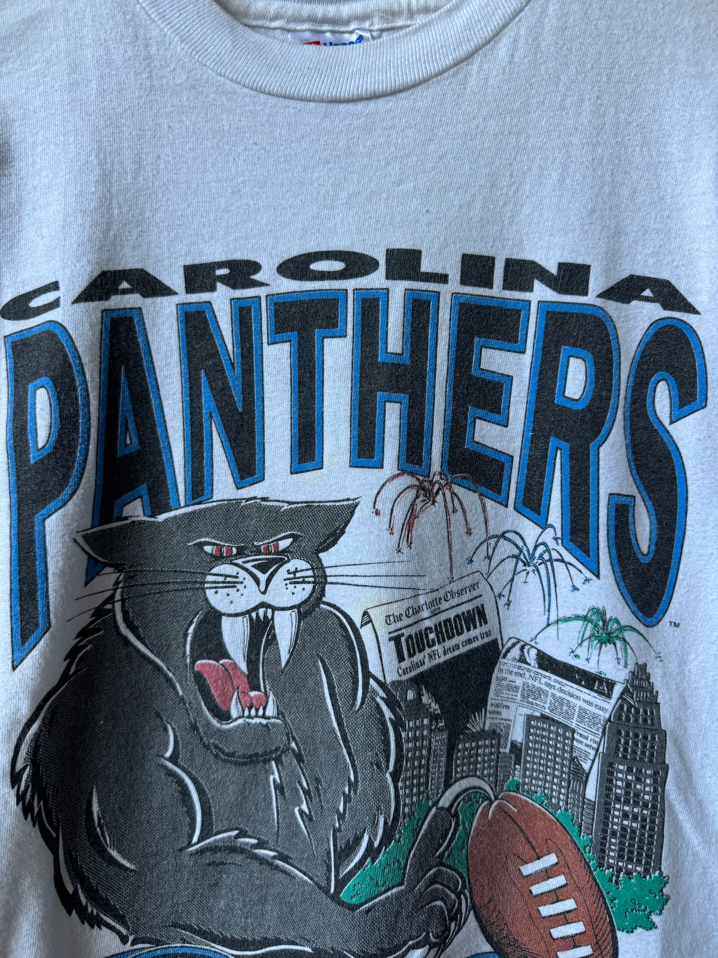 1993 Carolina Panthers Vintage Franchise Announcement NFL Expansion Cartoon Tee (Youth Large)