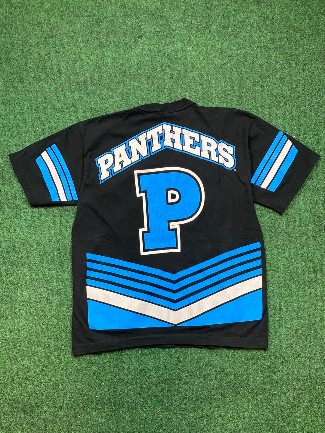 1995 Carolina Panthers Salem Sportswear NFL Big Logo Vintage Tee (Large)