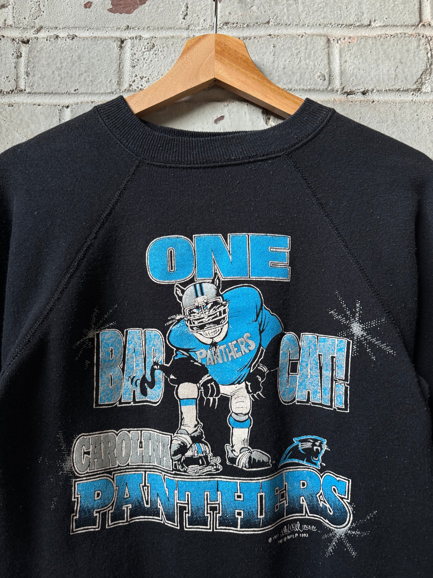 1993 Carolina Panthers “One Bad Cat” Vintage NFL Crewneck (Youth XL)