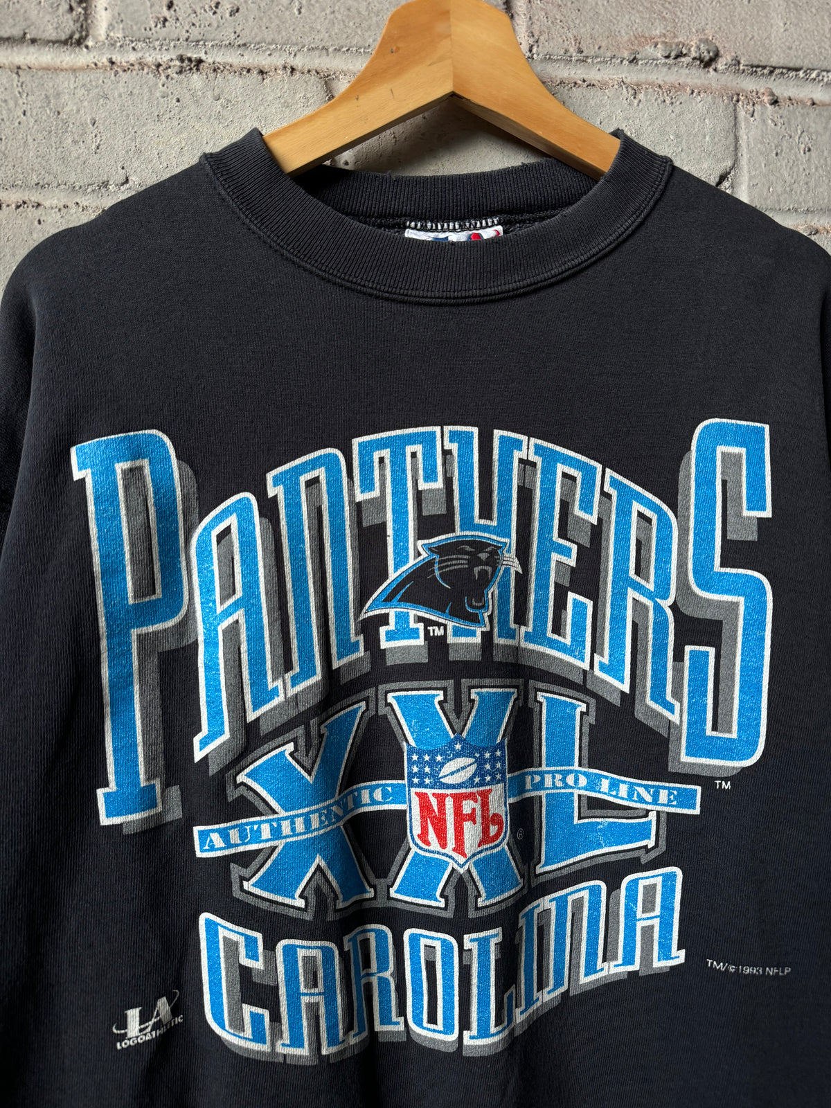 1993 Carolina Panthers Vintage Black Logo Athletic Heavyweight NFL Crewneck (Medium)