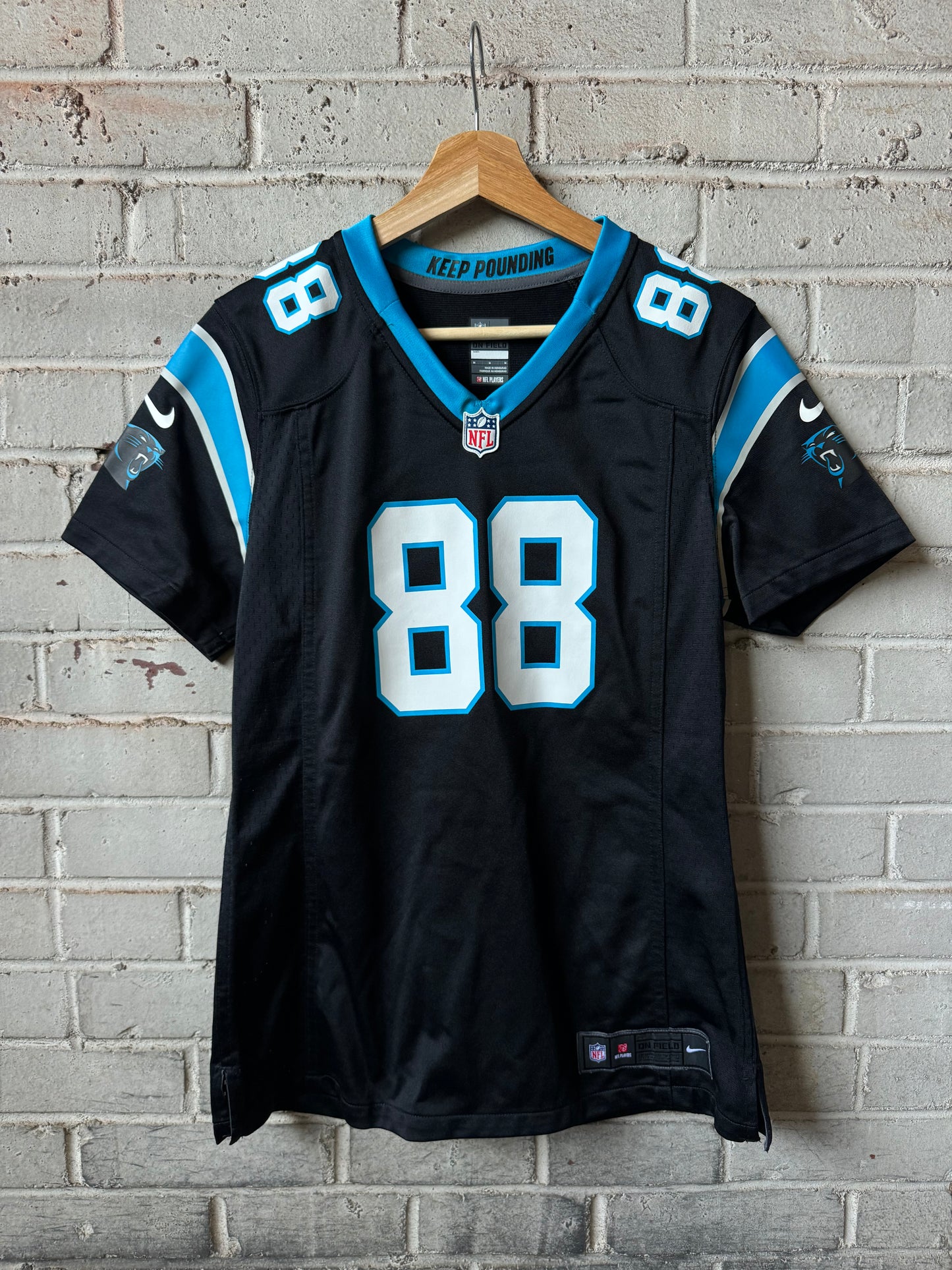 2014 Carolina Panthers
