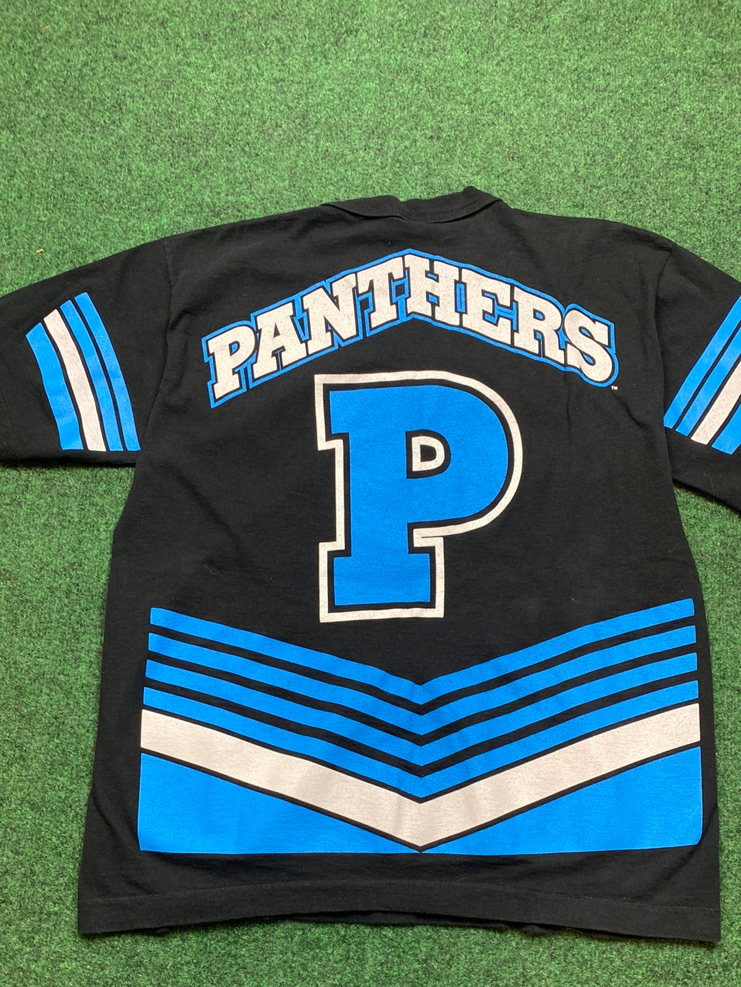 1995 Carolina Panthers Salem Sportswear NFL Big Logo Vintage Tee (Large)