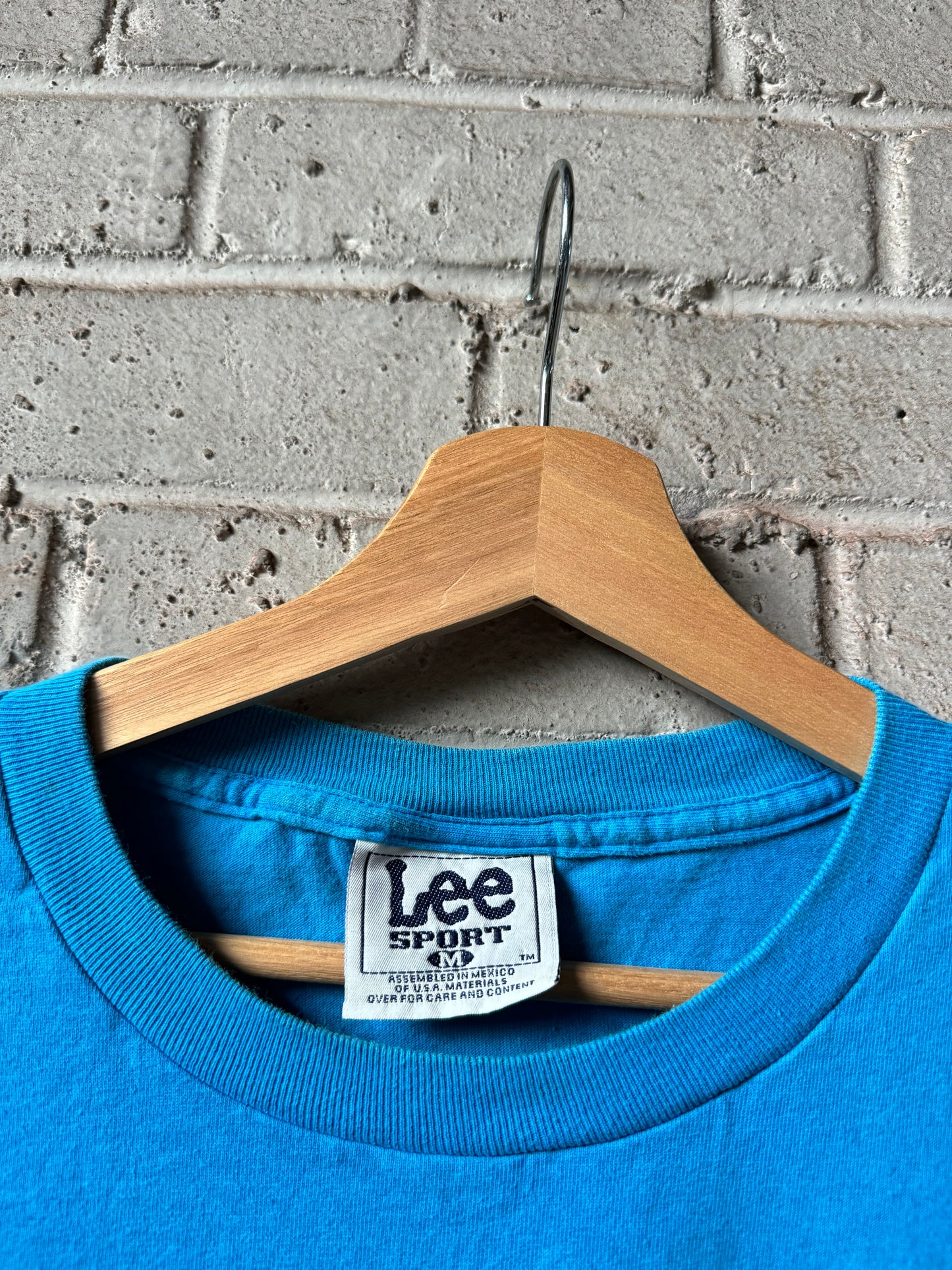90’s Carolina Panthers Vintage Blue Lee Sport Big Logo NFL Tee (Medium)
