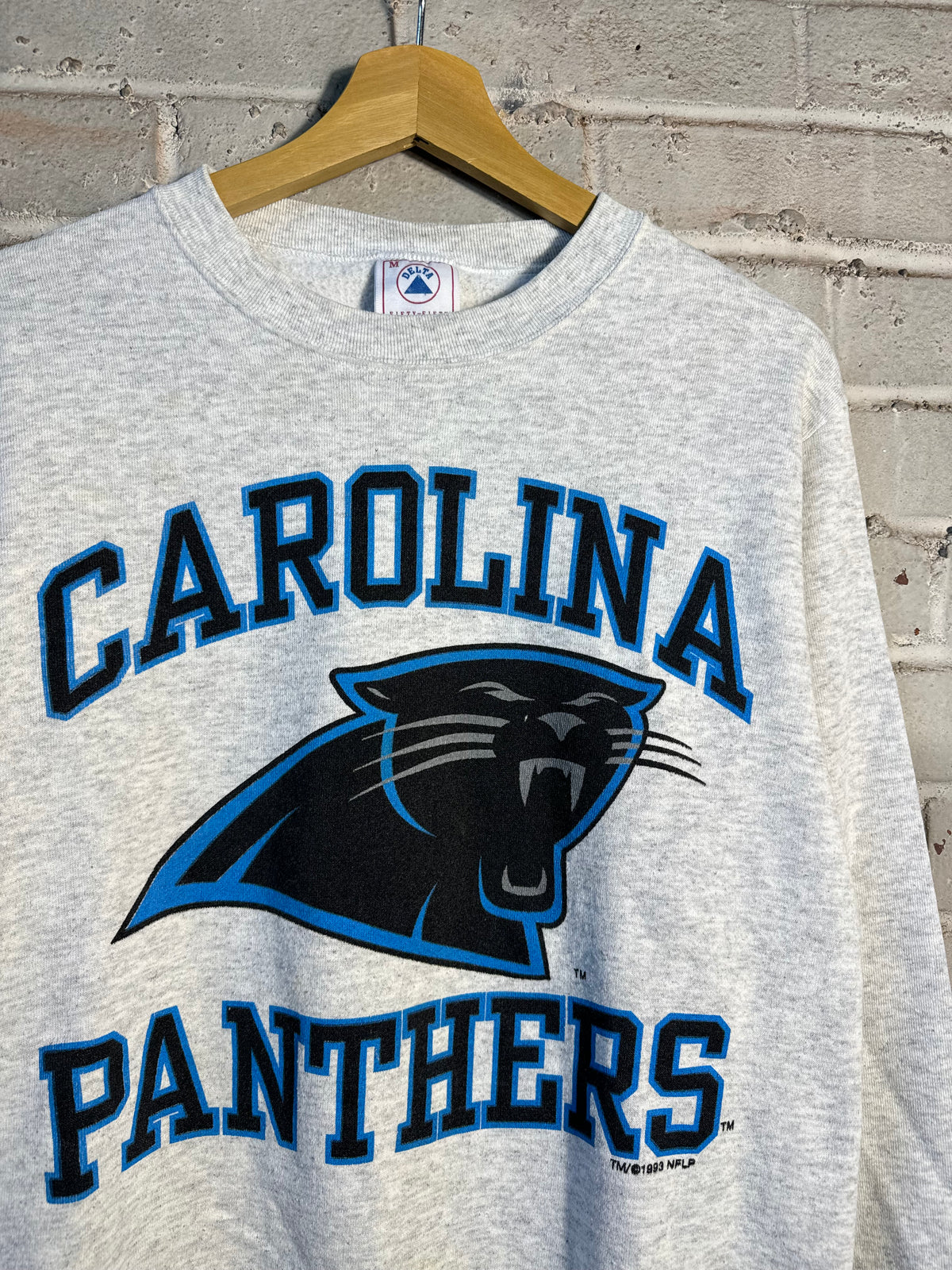 1993 Carolina Panthers Vintage Big Logo Block Letter Spellout NFL Crewneck (Medium)