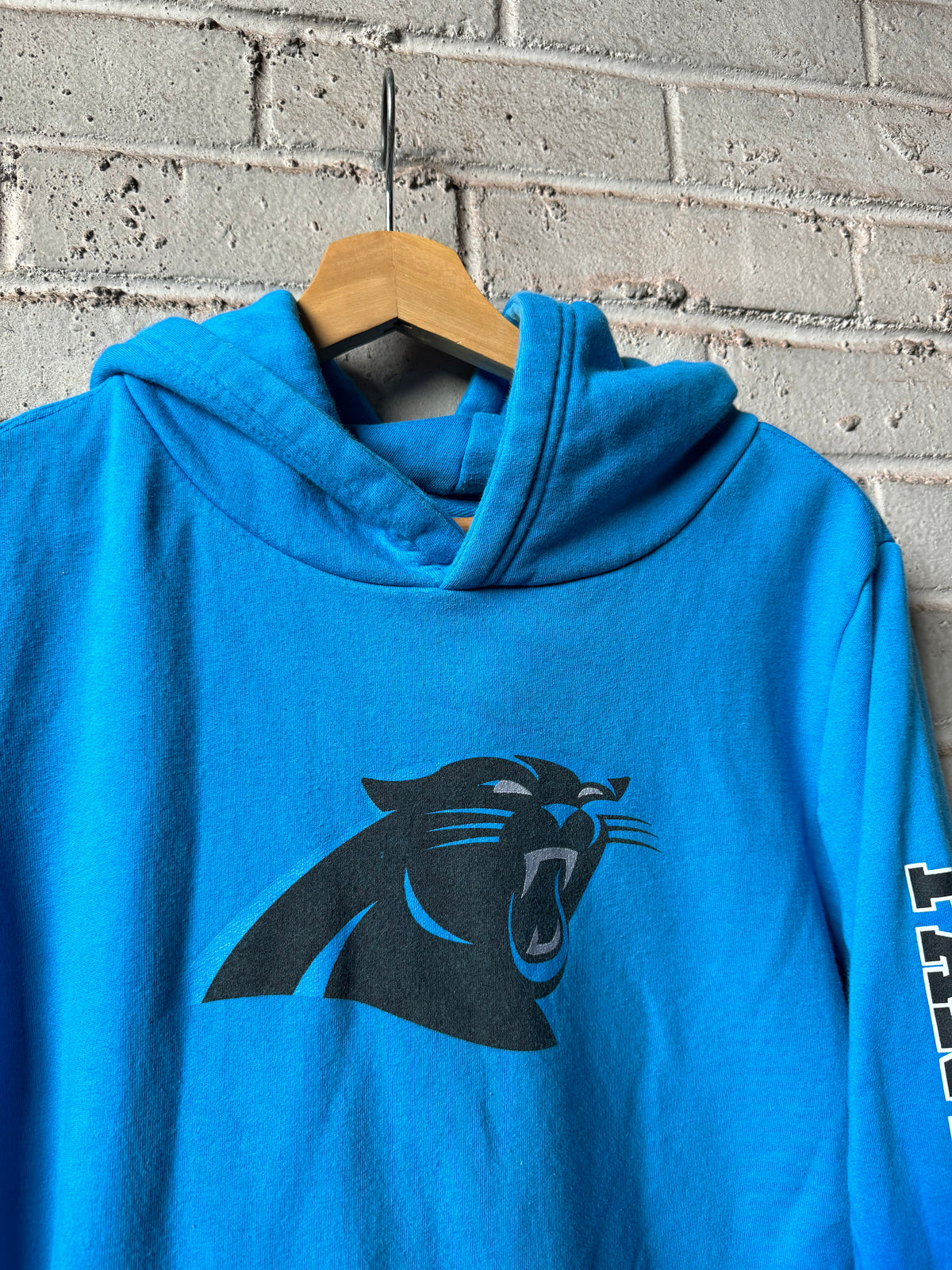Carolina Panthers Blue Fanatics Spellout NFL Hoodie (Youth XL)