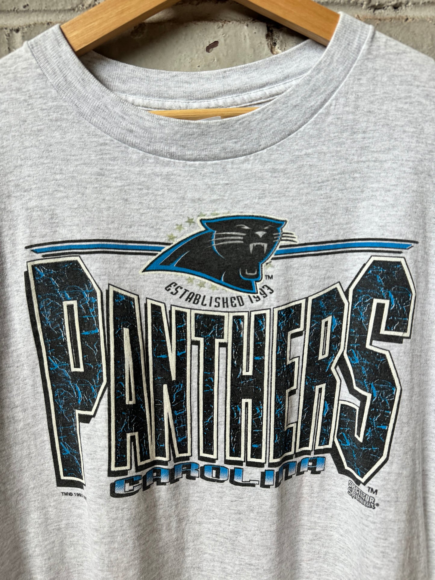 1993 Carolina Panthers Vintage Heather Grey Spellout NFL Tee (XL)