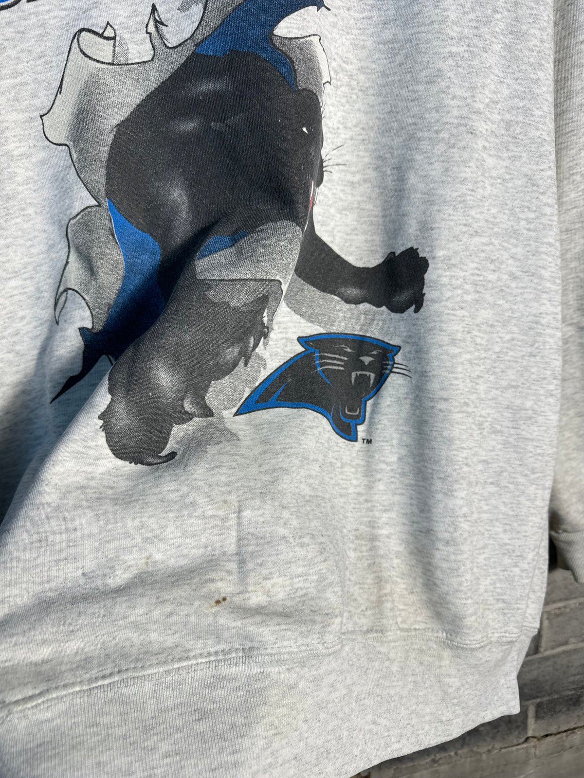 1993 Carolina Panthers Vintage Heather Grey Nutmeg Mills Breakthrough NFL Crewneck (Large)
