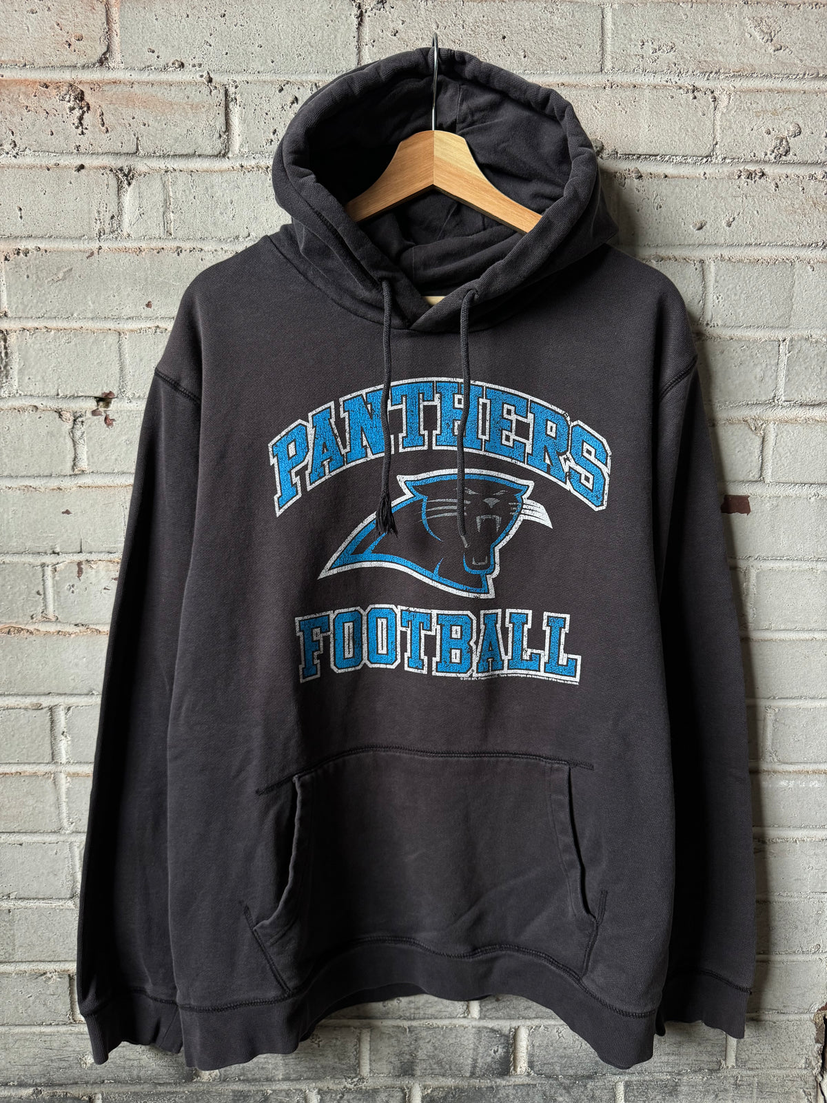 2010 Carolina Panthers Vintage Black Arch Spellout Heavyweight NFL Hoodie (XL)