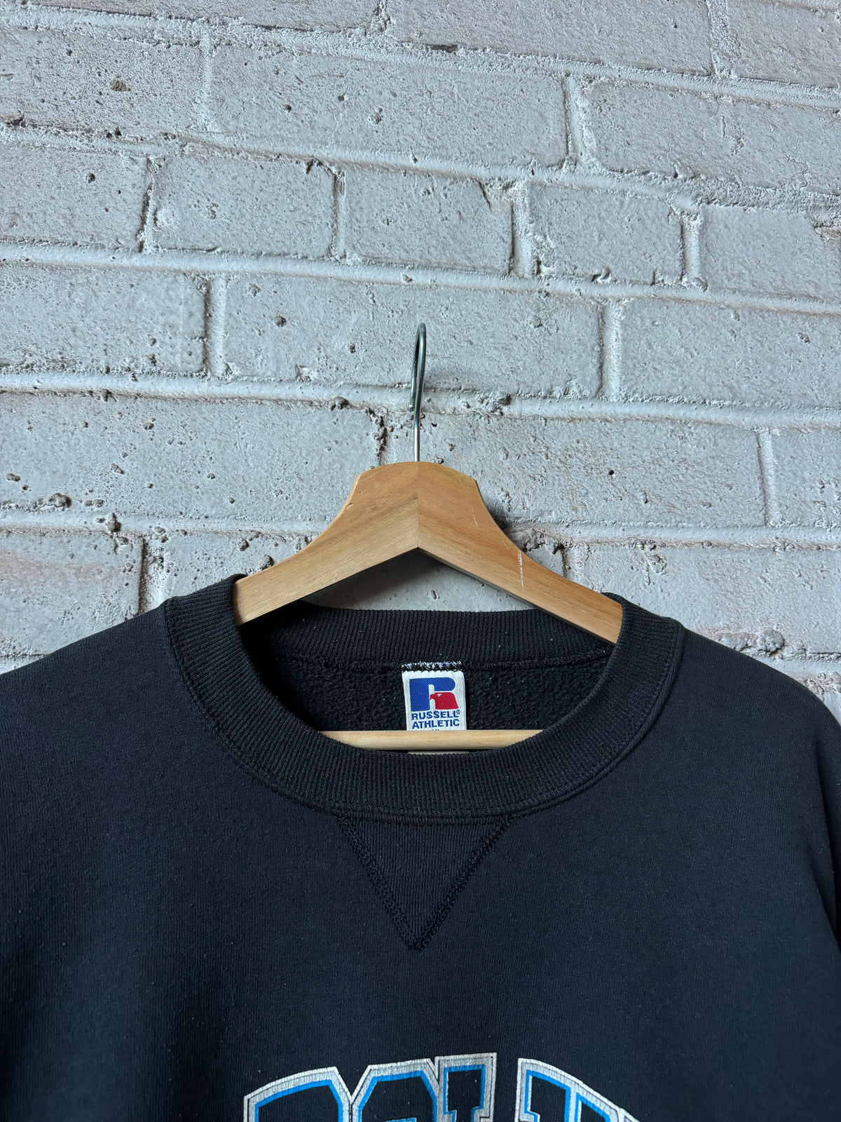 1995 Carolina Panthers Vintage Black Russell Athletic Heavyweight NFL Crewneck (XL)