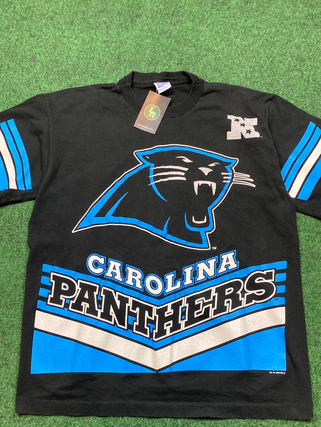 1995 Carolina Panthers Salem Sportswear NFL Big Logo Vintage Tee (Large)