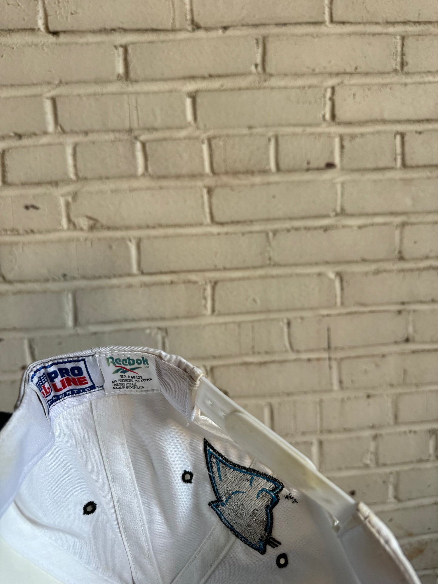1995 Carolina Panthers Vintage White Reebok NFL Pro Line Cat Scratch Font NFL Snapback Hat (OSFA)