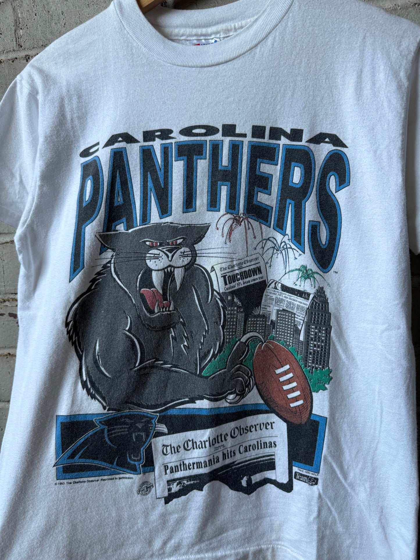 1993 Carolina Panthers Vintage Franchise Announcement NFL Expansion Cartoon Tee (Youth Large)