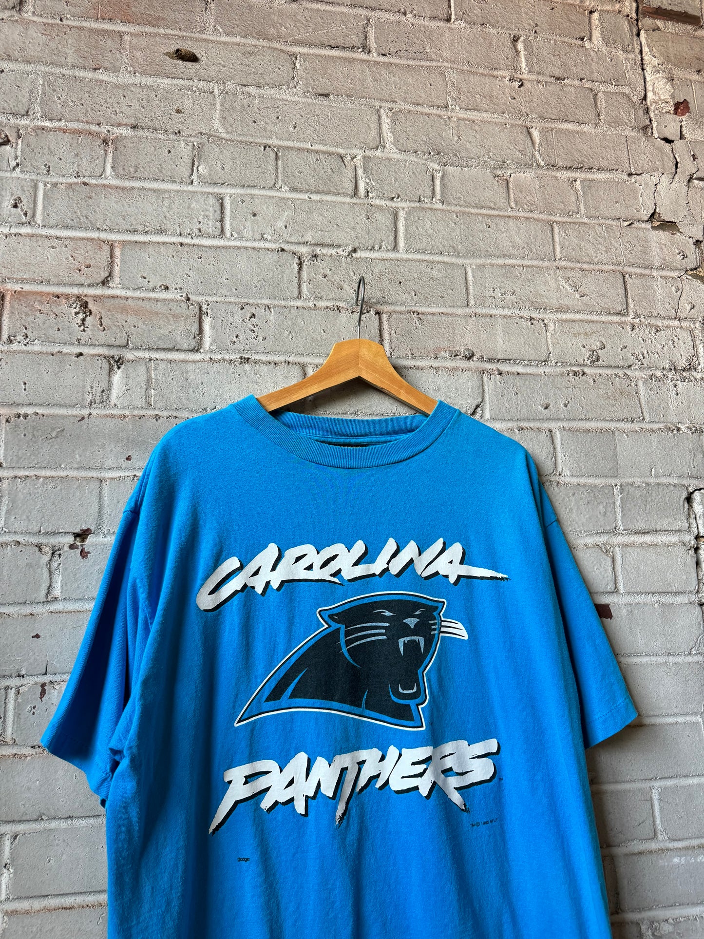 1995 Carolina Panthers Vintage Blue Hummer Sportswear Cat Scratch Font NFL Tee (XL)