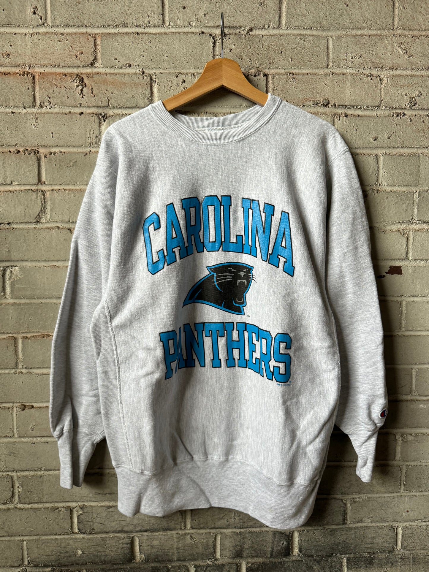 1993 Carolina Panthers Vintage Heather Grey Champion Reverse Weave Ultra Heavyweight NFL Crewneck (XL)
