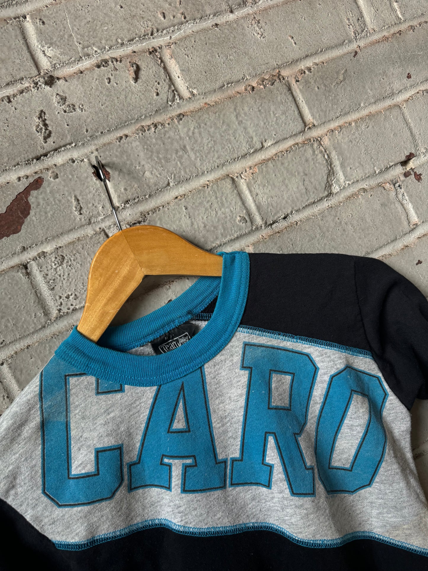 1994 Carolina Panthers Vintage Kids Big Spellout Cut & Sew Crewneck (14” x 17”)