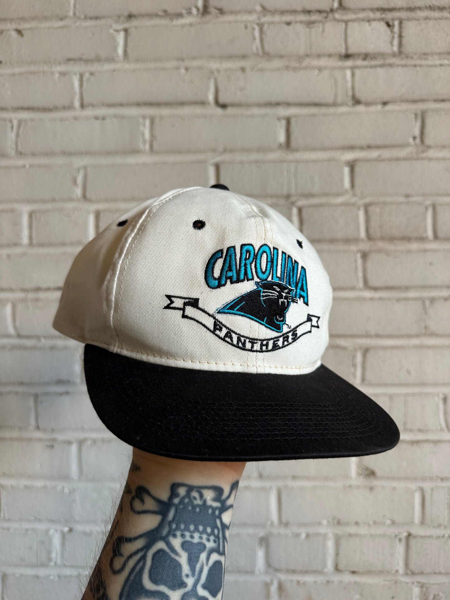 90’s Carolina Panthers Vintage Twins Enterprises Two Tone Embroidered NFL Snapback Hat (OSFA)