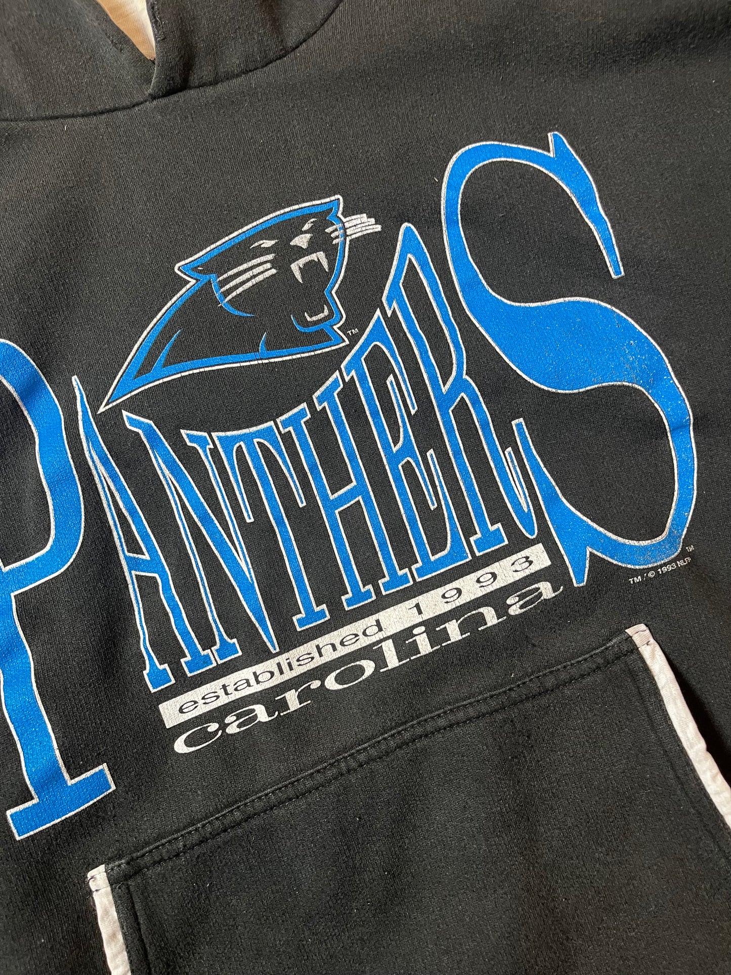 1993 Carolina Panthers Spellout Salem Sportswear Vintage NFL Hoodie (Large)