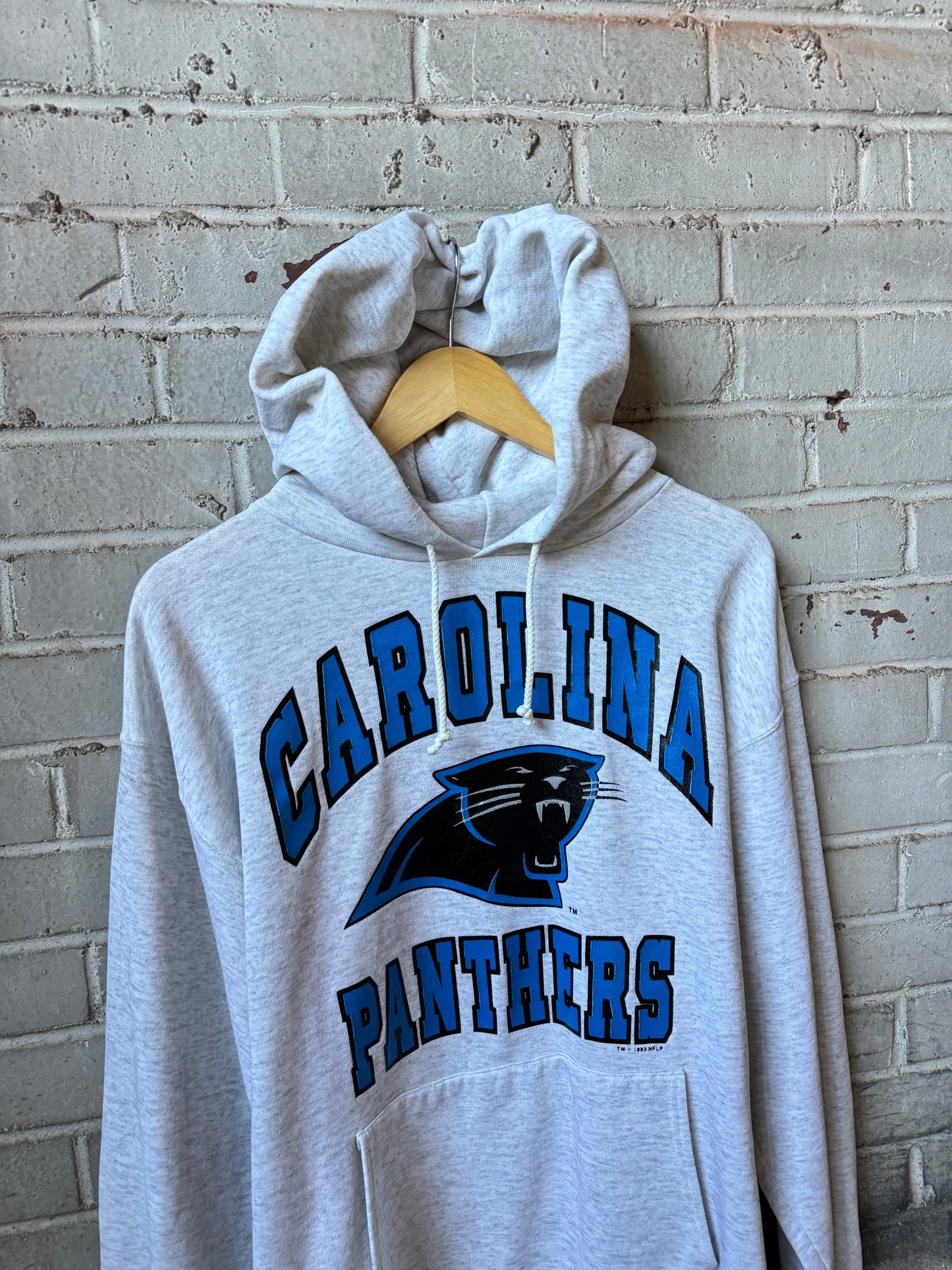 1993 Carolina Panthers Vintage Heather Grey Bike Big Spellout NFL Hoodie (Large)