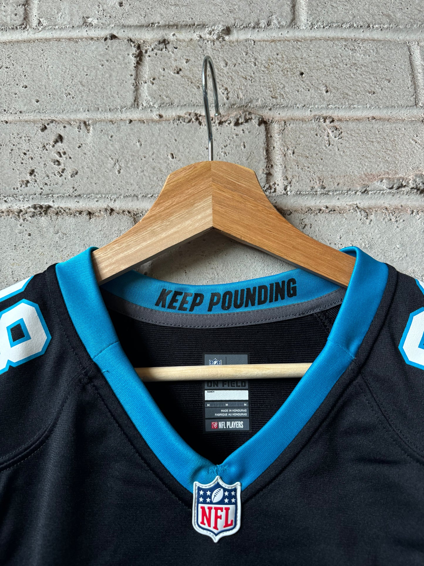 2014 Carolina Panthers