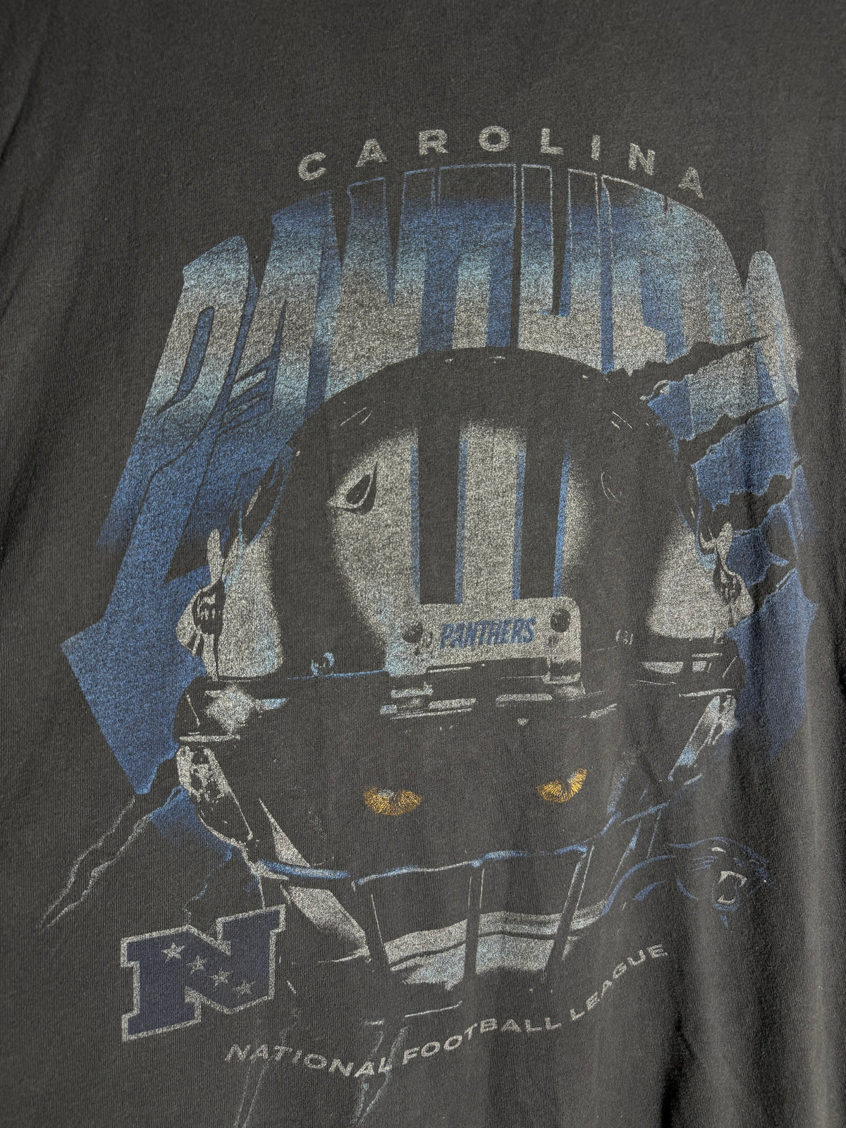 Carolina Panthers Abercrombie & Fitch NFL Collab Tee (Large)