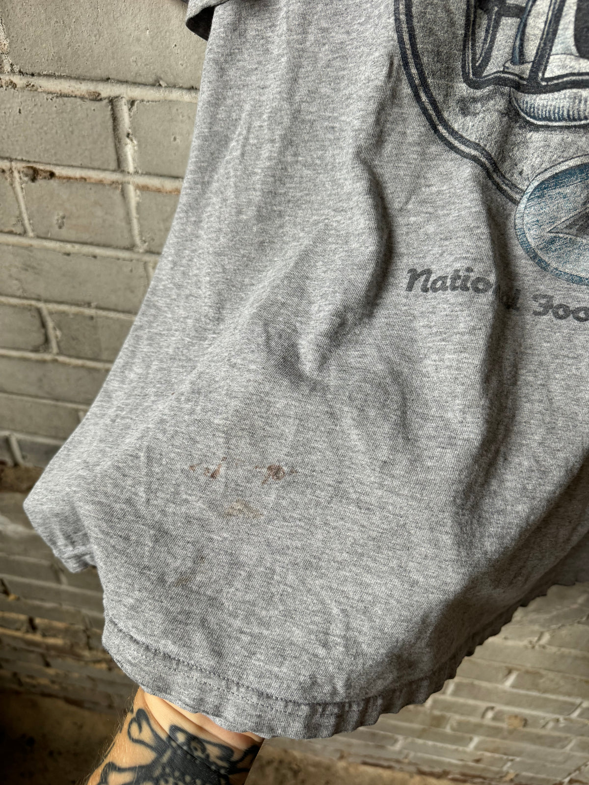 00’s Carolina Panthers Vintage Grey Distressed NFL Graphic Tee (XL)
