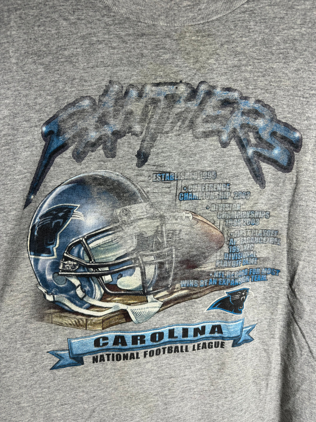 00’s Carolina Panthers Vintage Grey Distressed Franchise Accolades NFL Tee (XXL)