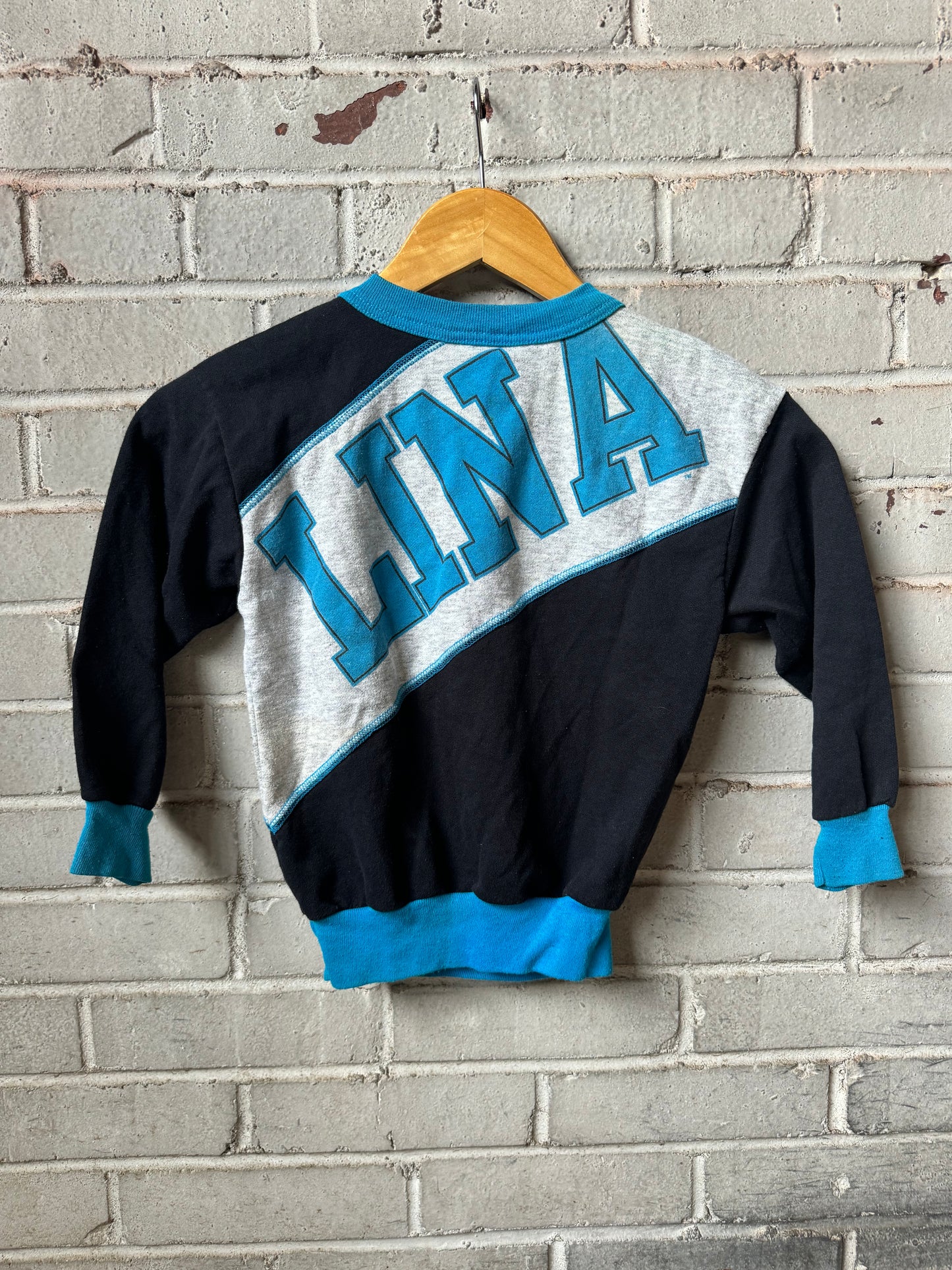 1994 Carolina Panthers Vintage Kids Big Spellout Cut & Sew Crewneck (14” x 17”)