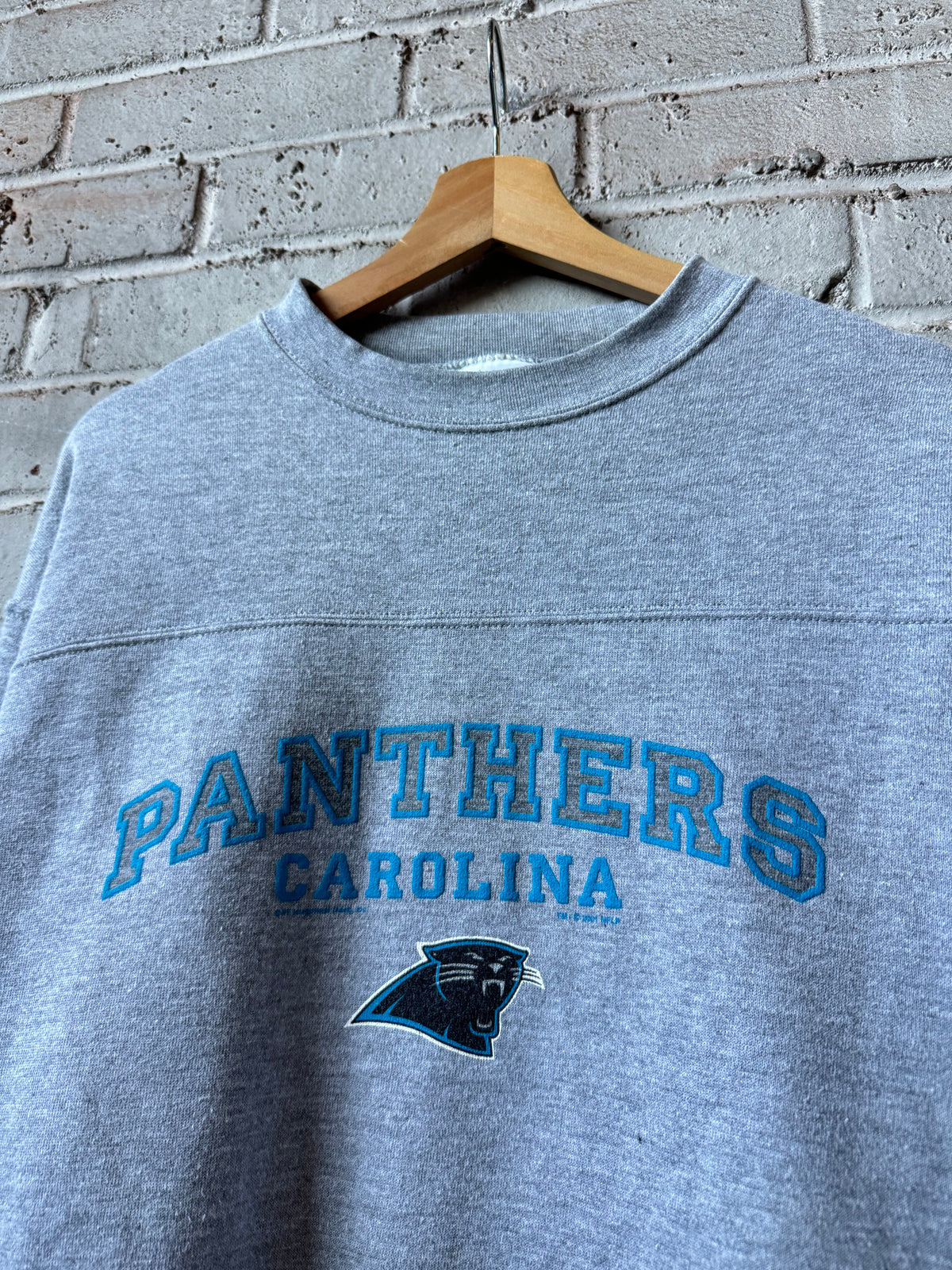 2001 Carolina Panthers Vintage Grey  NFL Spellout Crewneck (XL)