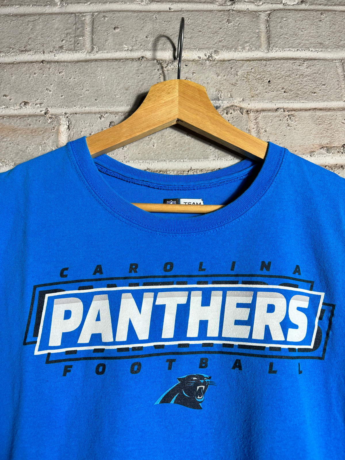2010’s Carolina Panthers NFL Spellout Tee (Large)