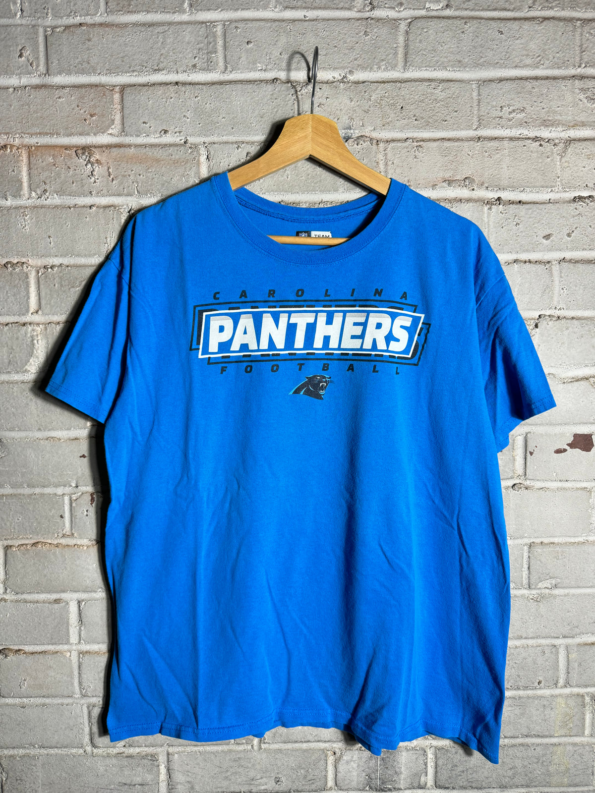 2010’s Carolina Panthers NFL Spellout Tee (Large)