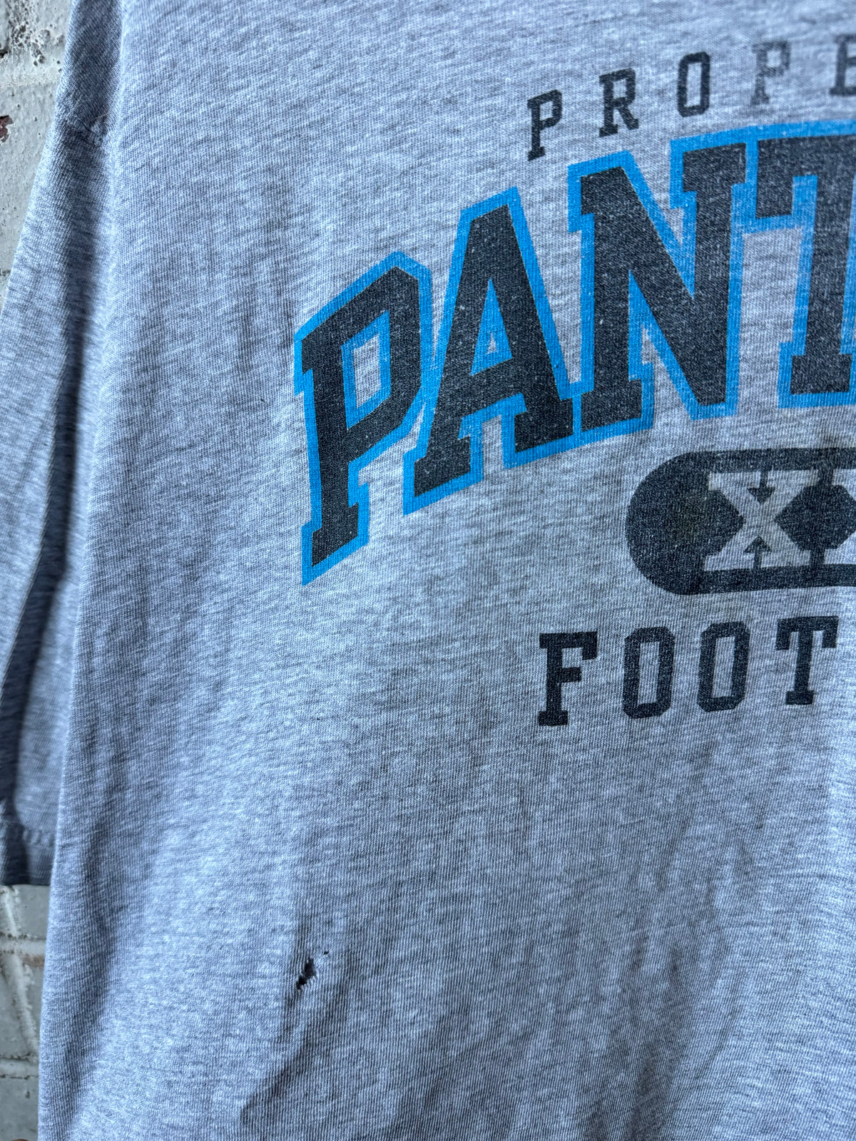 00’s Carolina Panthers Vintage Reebok NFL Gridiron Collection Tee (XXL)