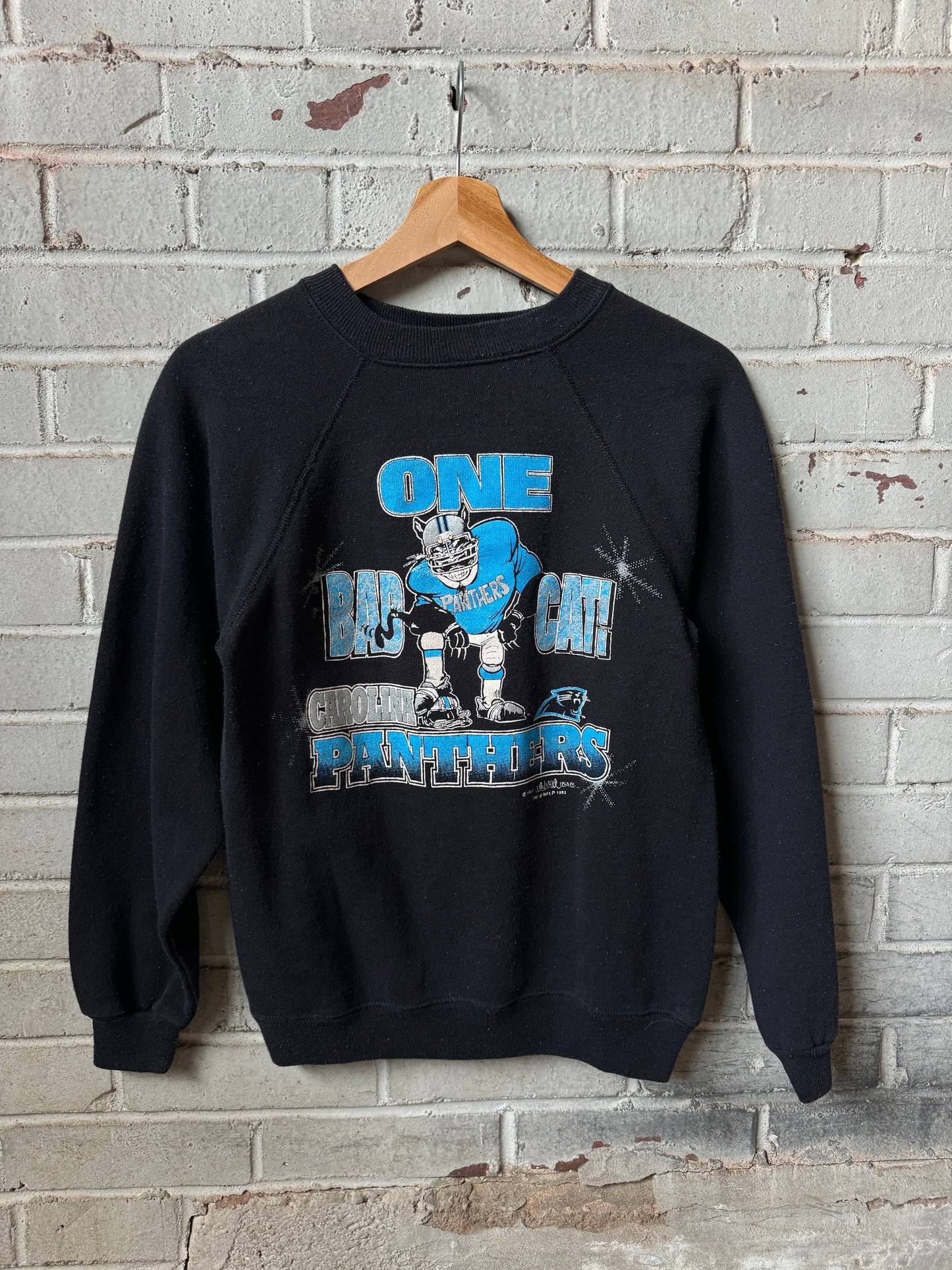 1993 Carolina Panthers “One Bad Cat” Vintage NFL Crewneck (Youth XL)