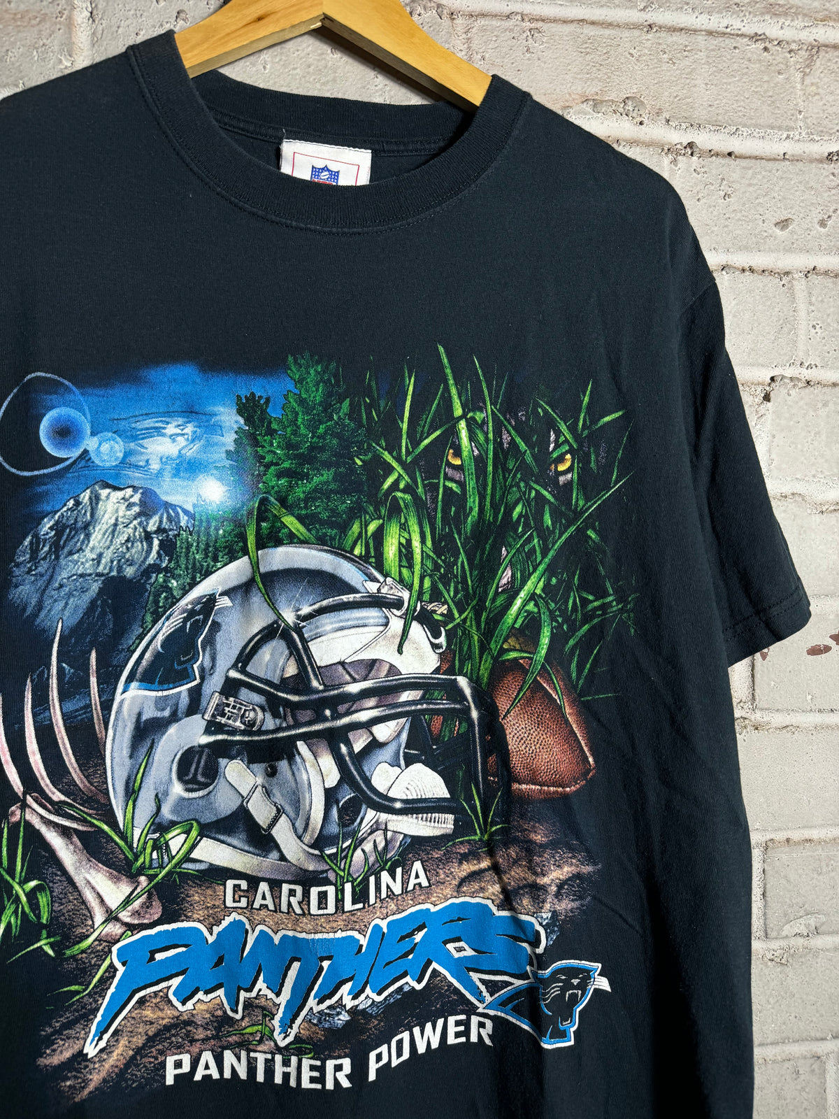 00’s Carolina Panthers Vintage Black “Panther Power” NFL Jungle Scene Tee (Small)