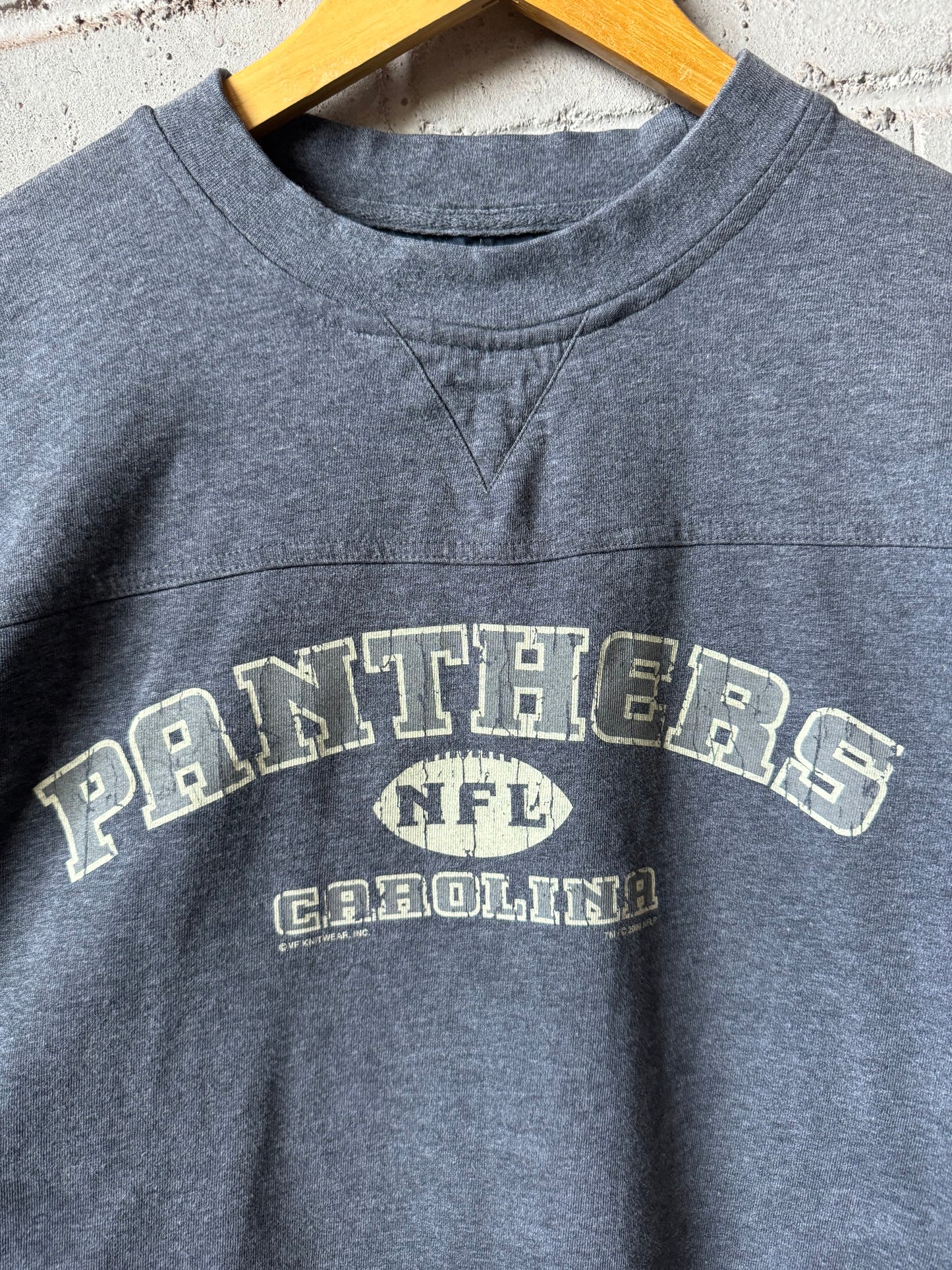 2000 Carolina Panthers Vintage Grey Lee Sport Heavyweight NFL Longsleeve (XL)