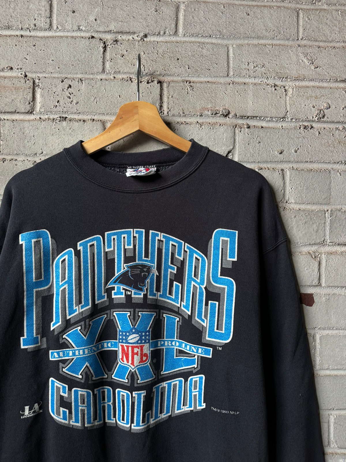 1993 Carolina Panthers Vintage Black Logo Athletic Heavyweight NFL Crewneck (Medium)