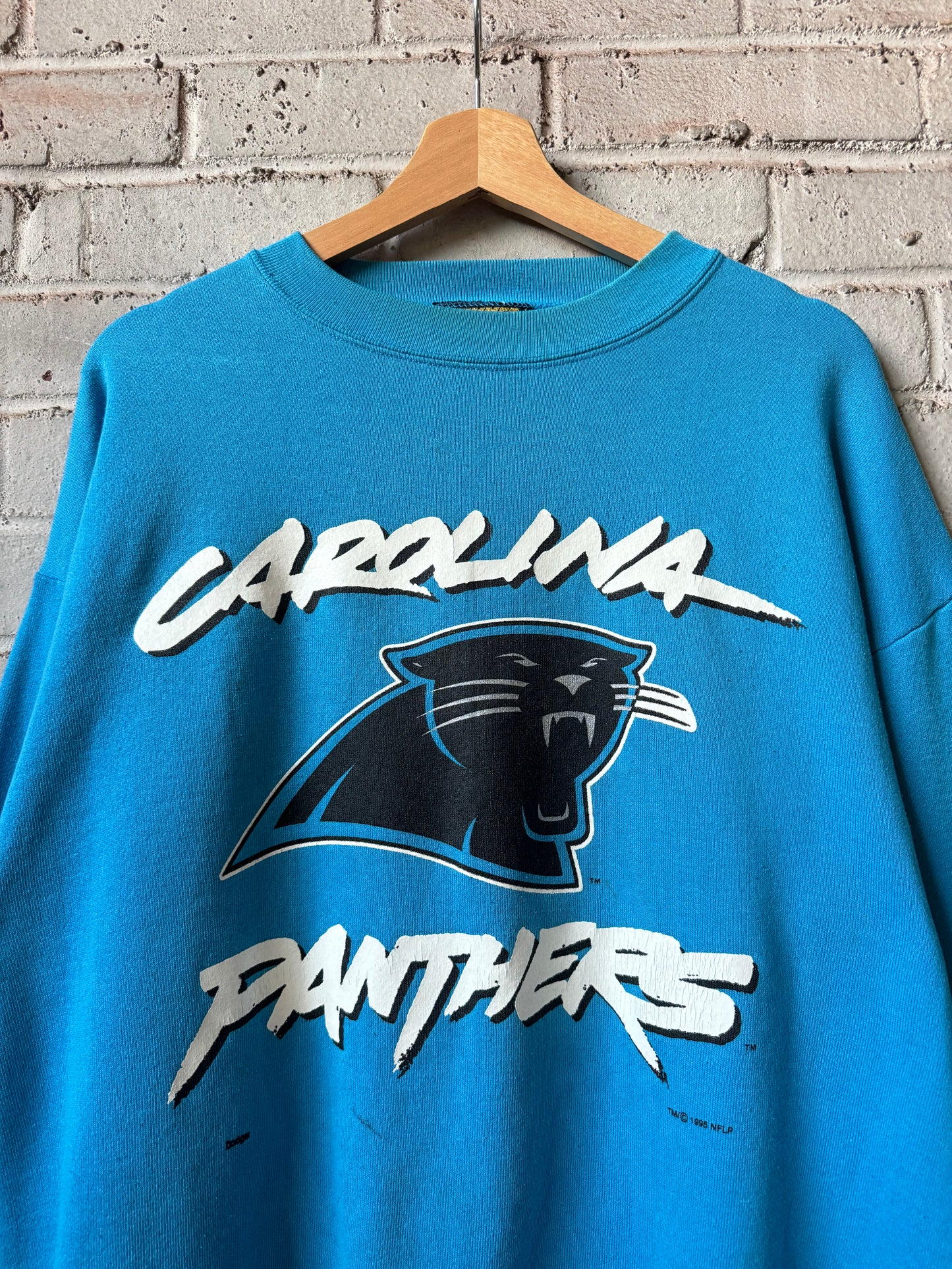 1995 Carolina Panthers Vintage Blue Hummer Sportswear Cat Scratch Font Heavyweight NFL Crewneck (XL)