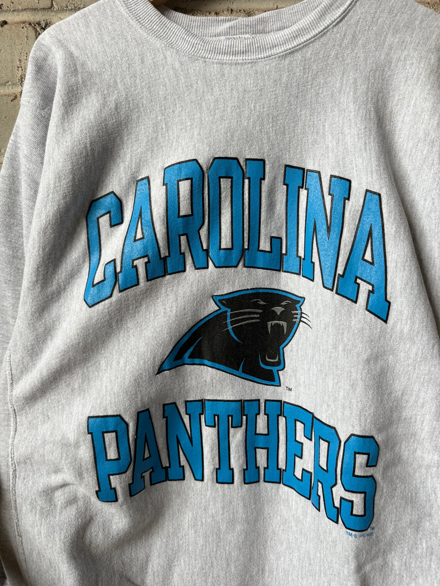 1993 Carolina Panthers Vintage Heather Grey Champion Reverse Weave Ultra Heavyweight NFL Crewneck (XL)