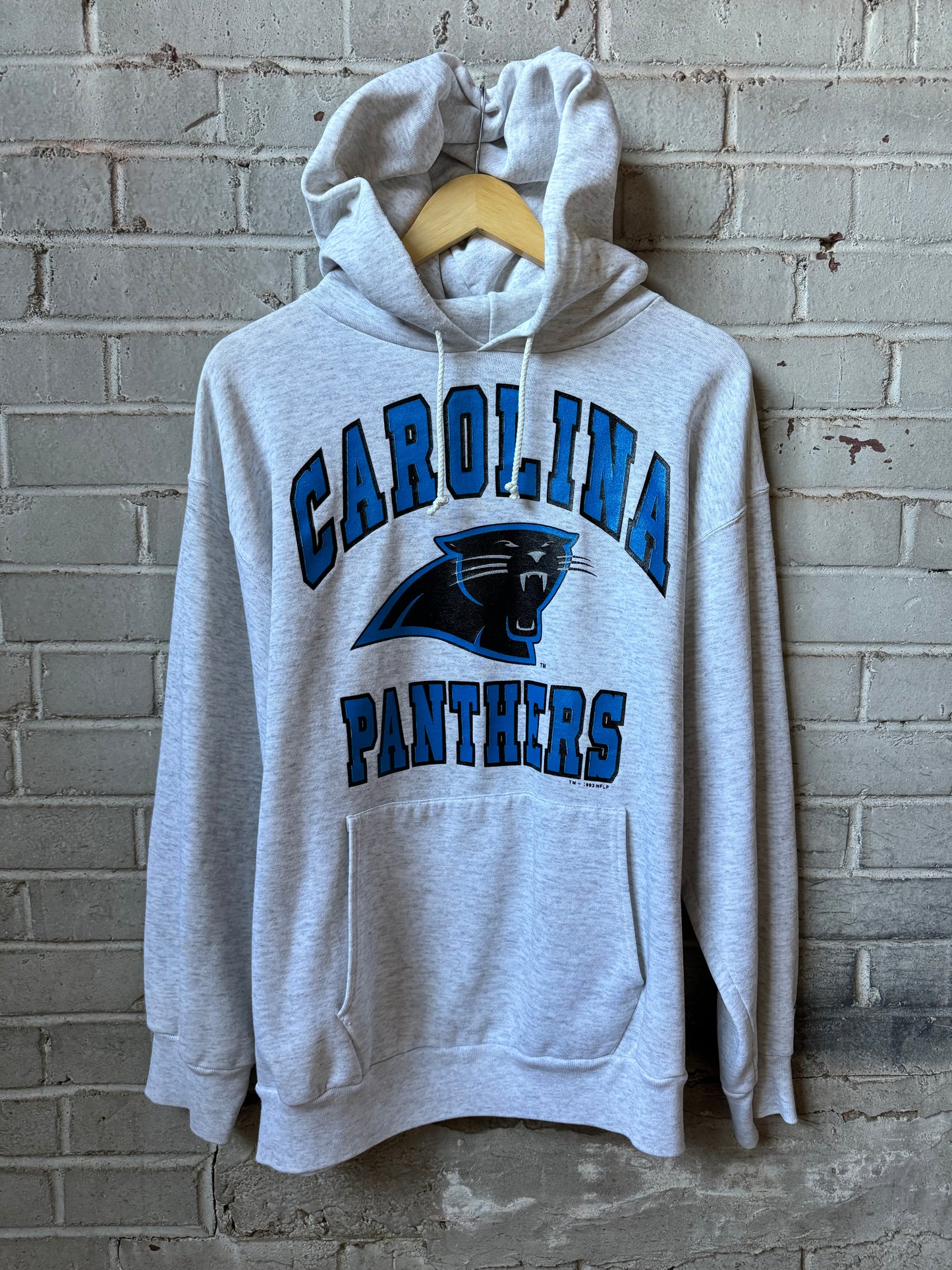 1993 Carolina Panthers Vintage Heather Grey Bike Big Spellout NFL Hoodie (Large)