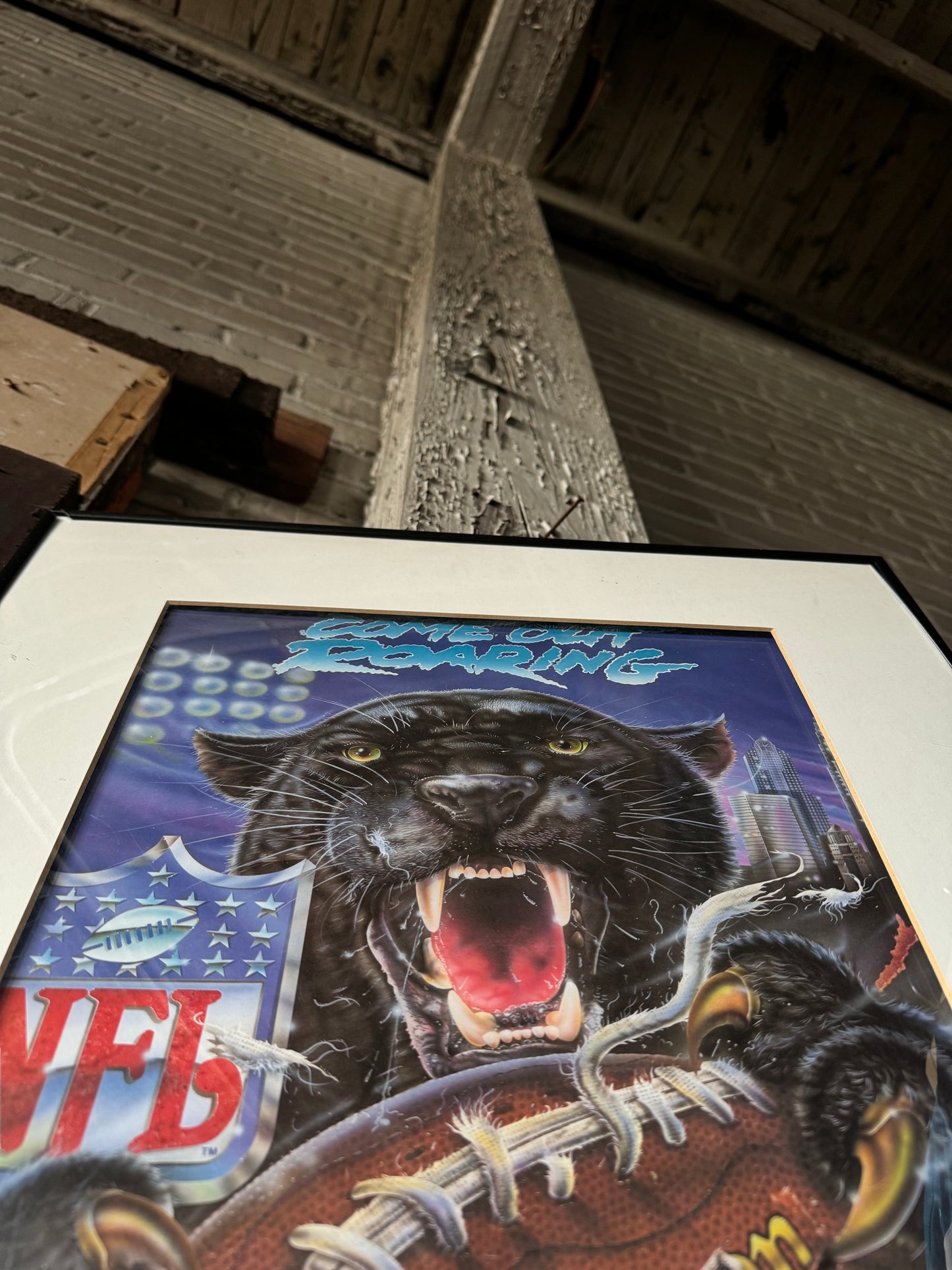 1995 Carolina Panthers Inaugural Season “Come Out Roaring” Framed NFL Print by Denis Pereira